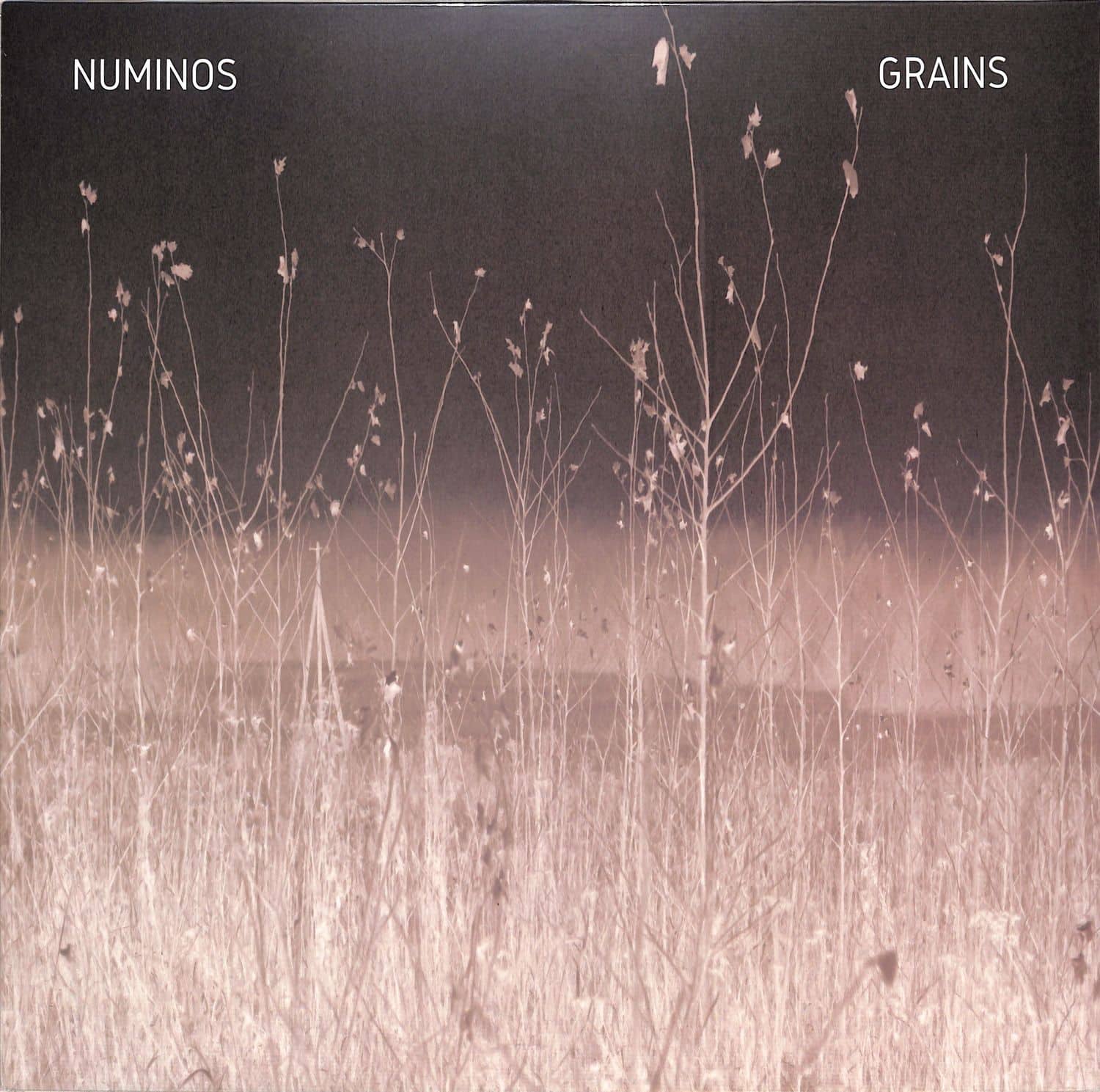 Numinos - GRAINS 