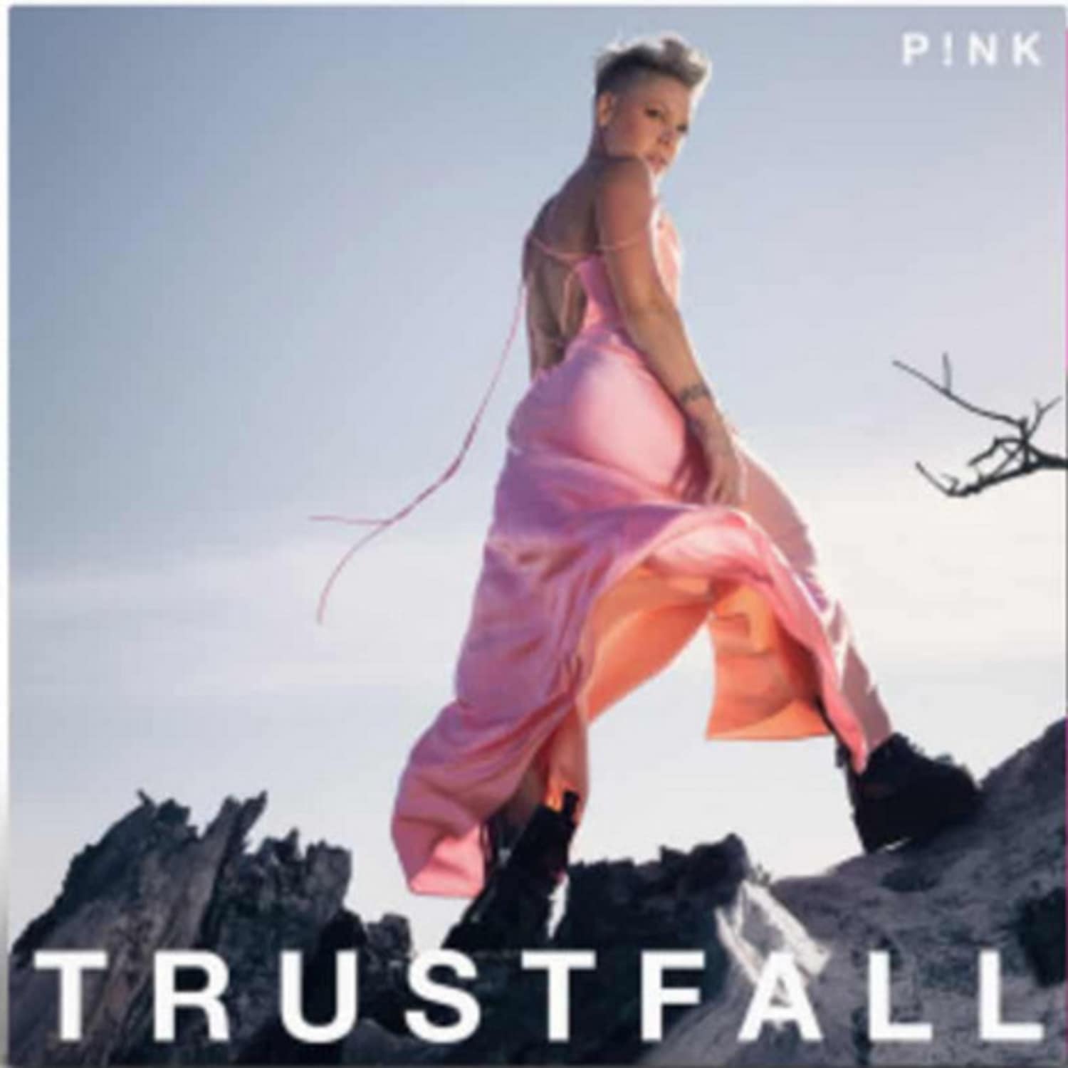 P!NK - TRUSTFALL 