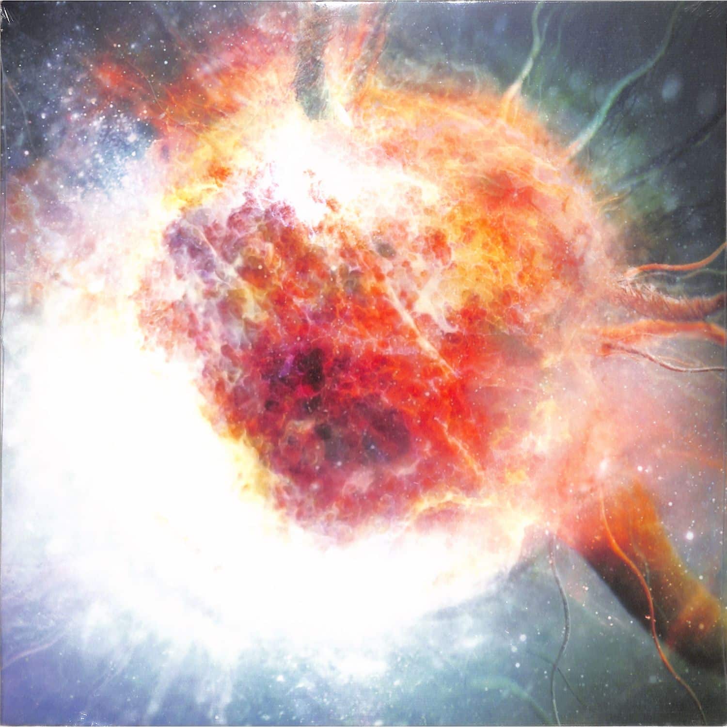 Various Artists - MEDULLA 