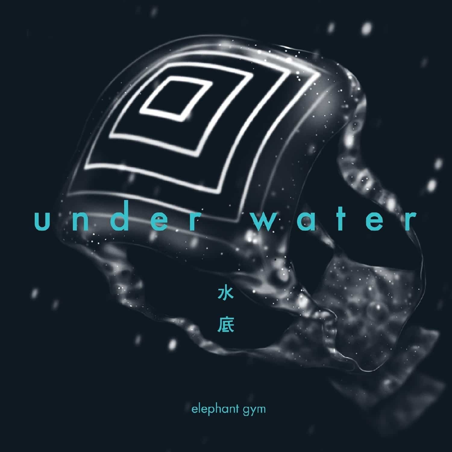 Elephant Gym - UNDERWATER 