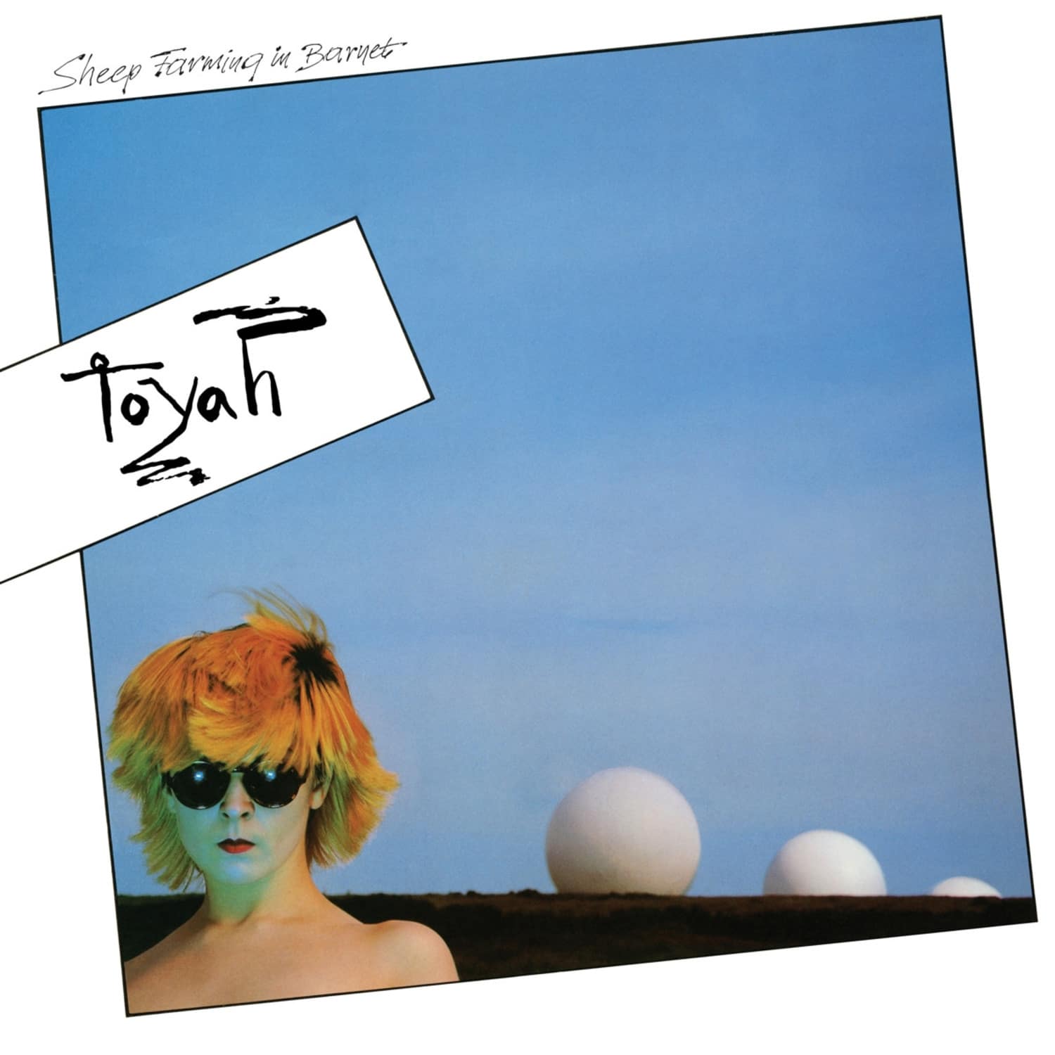 Toyah - SHEEP FARMING IN BARNET 
