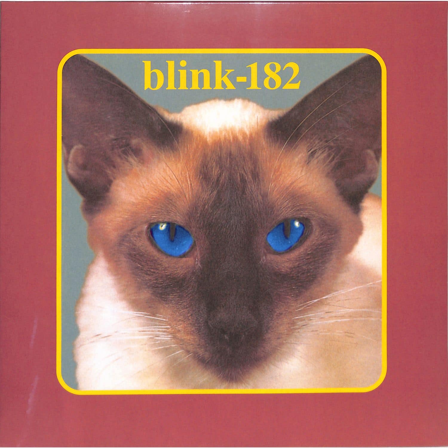 Blink-182 - CHESHIRE CAT 