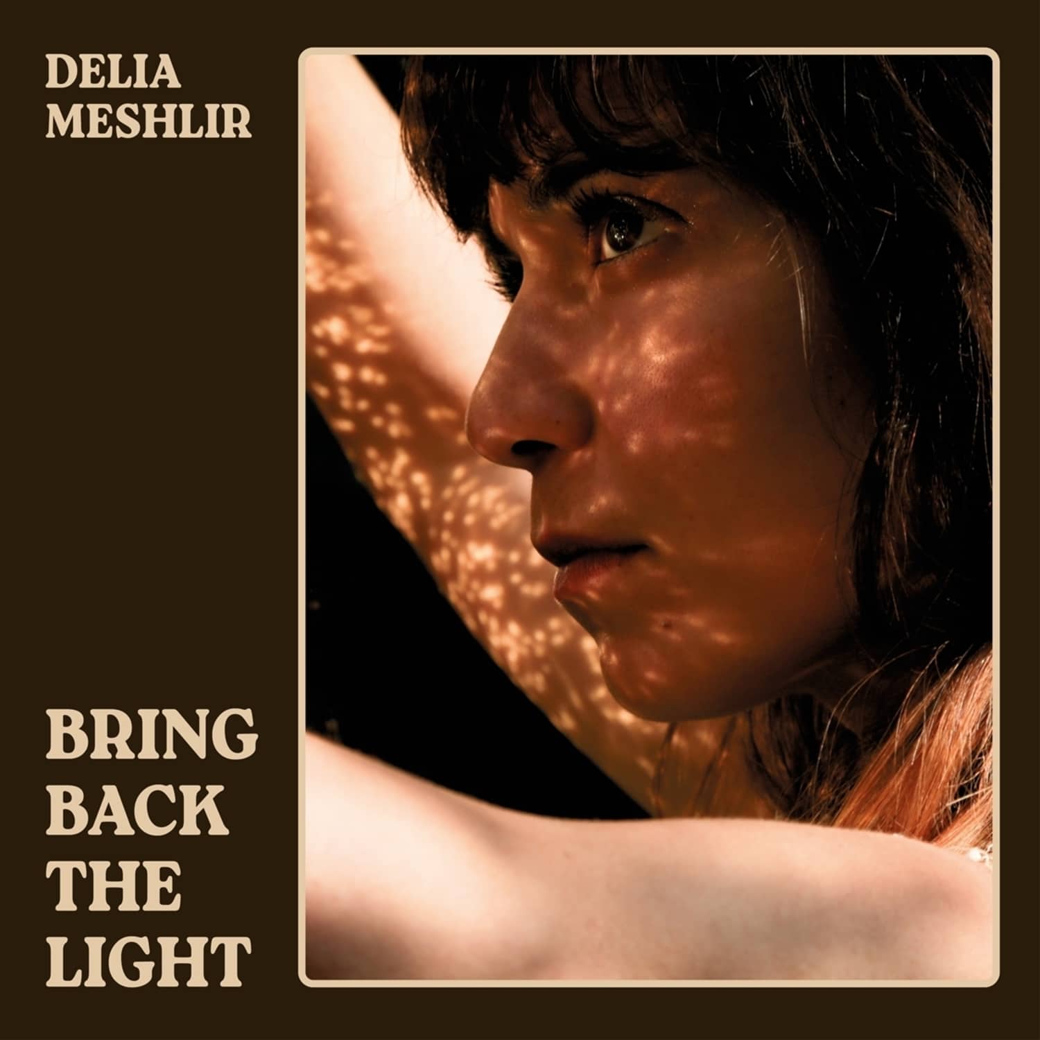 Delia Meshlir - BRING BACK THE LIGHT 