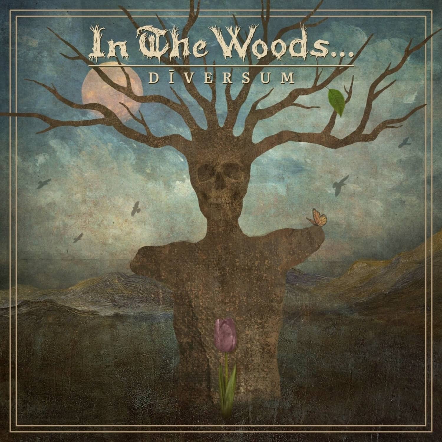 In The Woods - DIVERSUM 