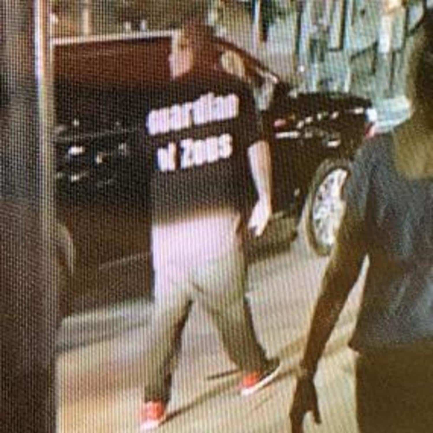 Xterea - GUARDIAN OF ZEUS 