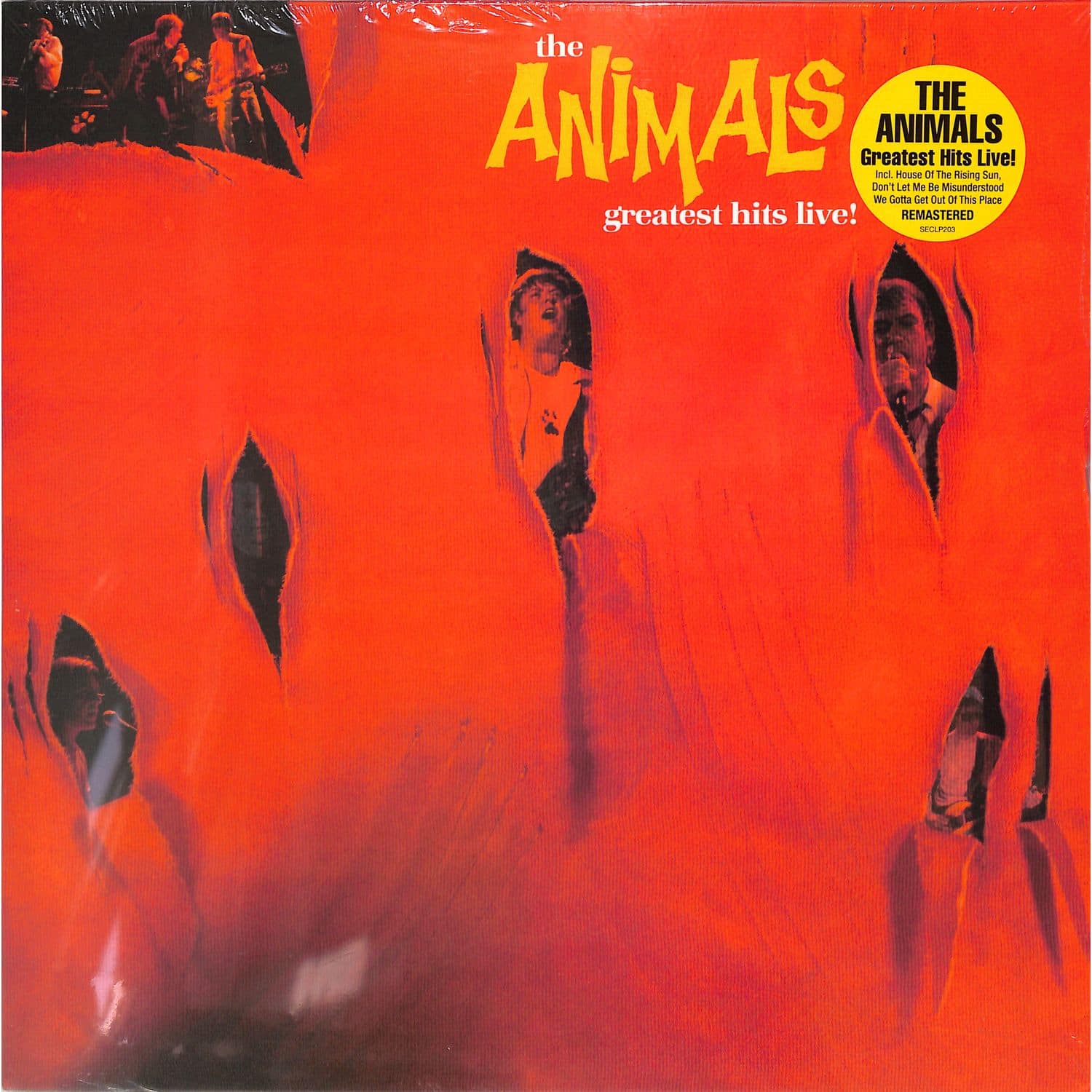 Animals - GREATEST HITS LIVE 