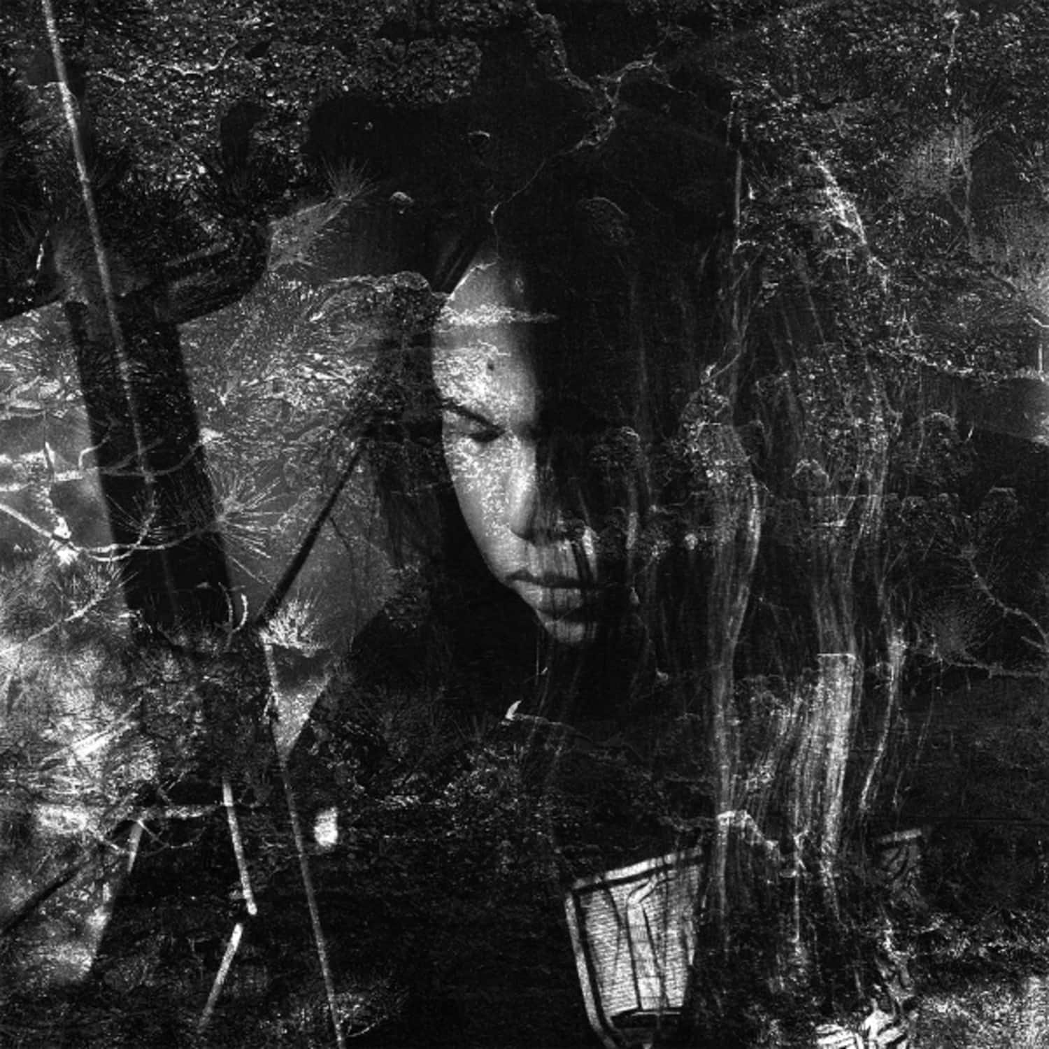 Thisquietarmy - LANGUE HYBRIDE 