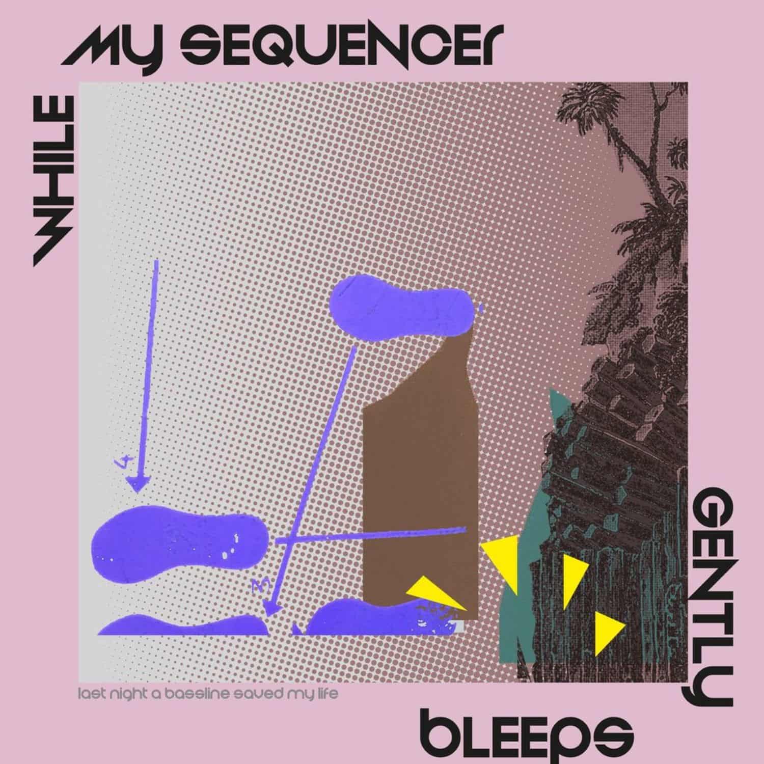 While My Sequencer Gently Bleeps - LAST NIGHT A BASSLINE SAVED MY LIFE