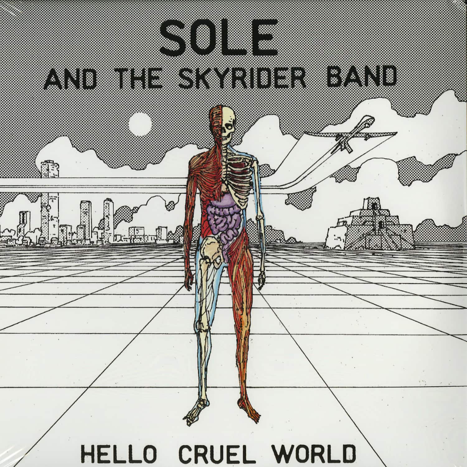 Sole And The Skyrider Band - HELLO CRUEL WORLD 