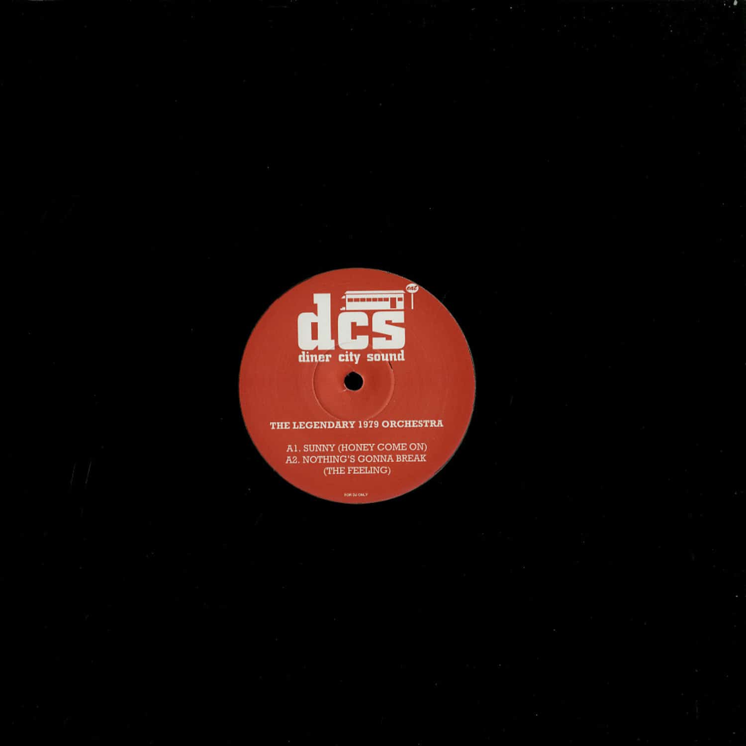 The Legendary 1979 Orchestra - SUNNY / NOTHING S