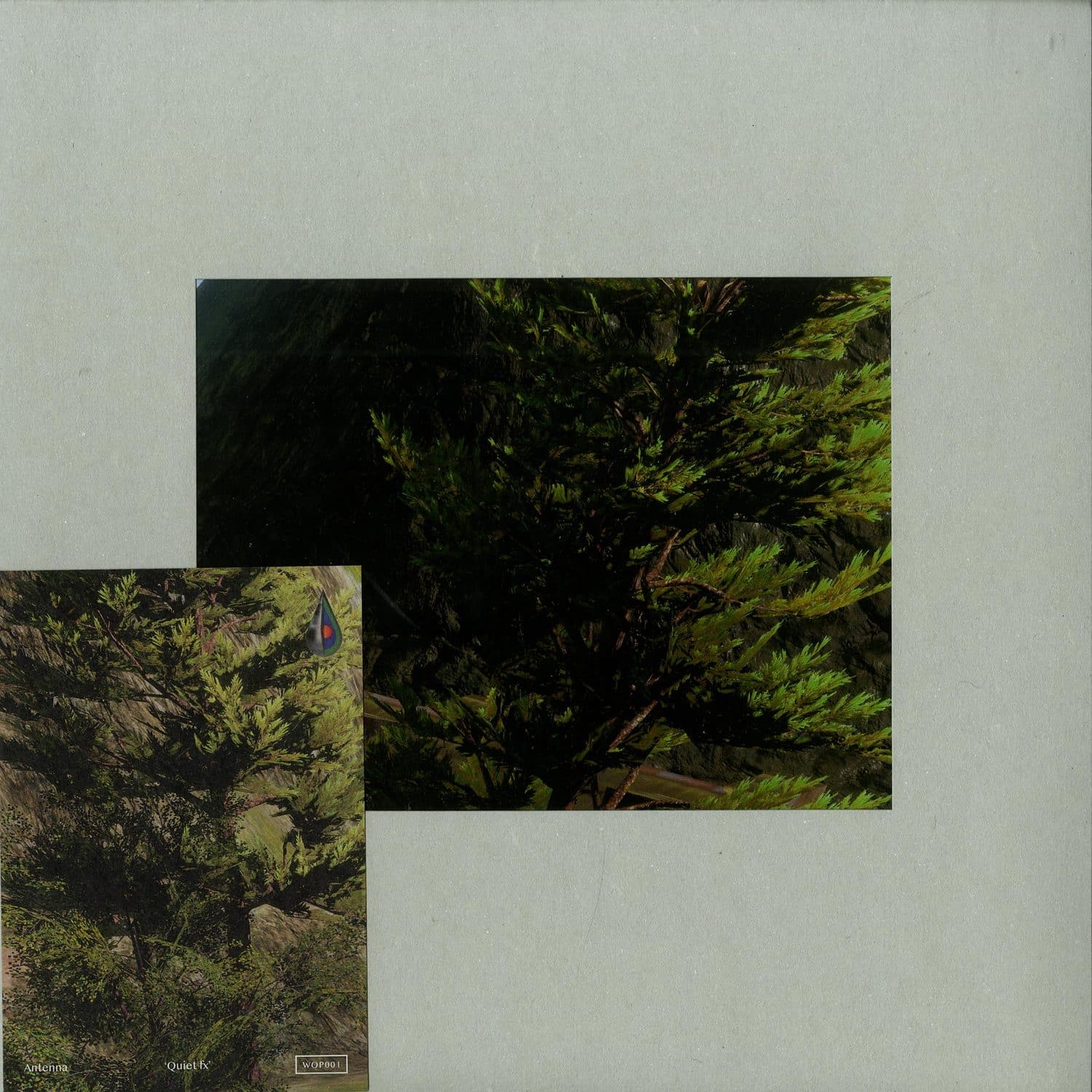 Antenna - QUIET FX 