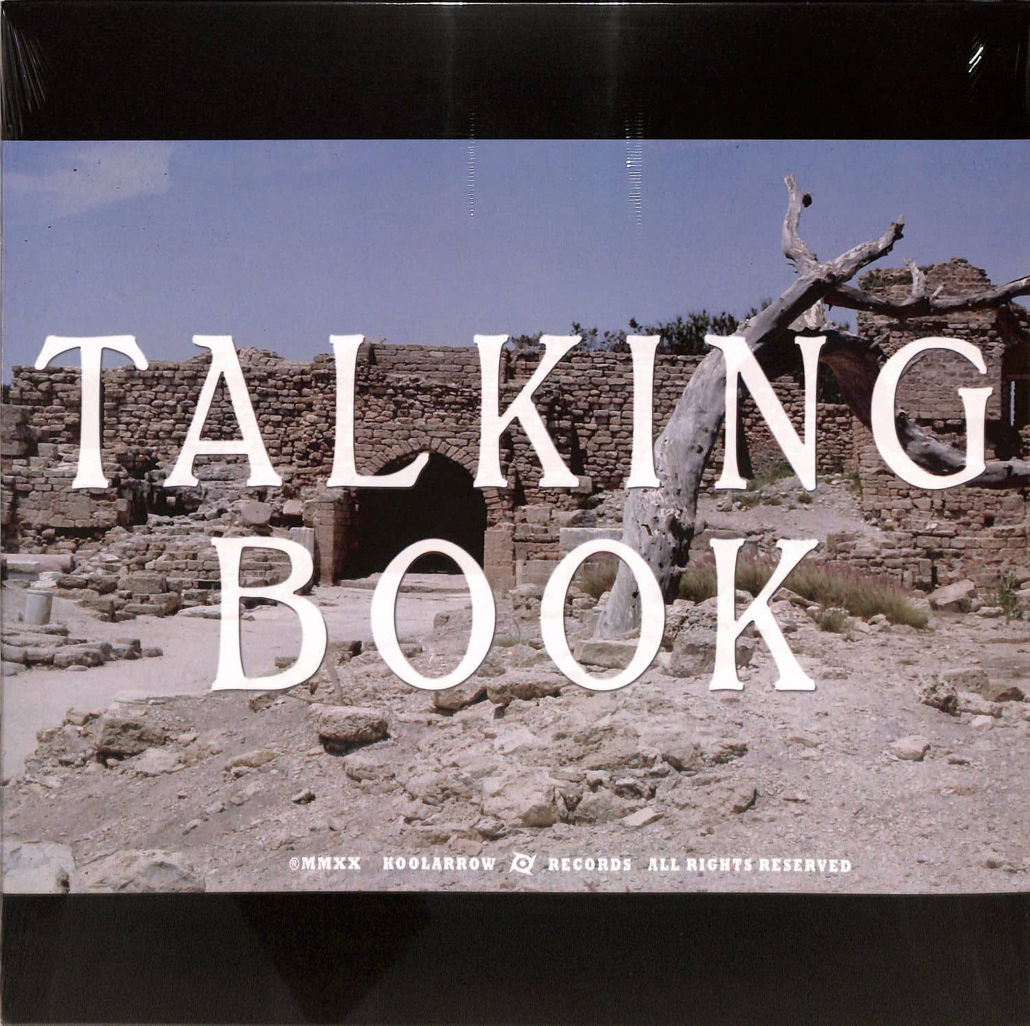 Talking Book - TALKING BOOK II 
