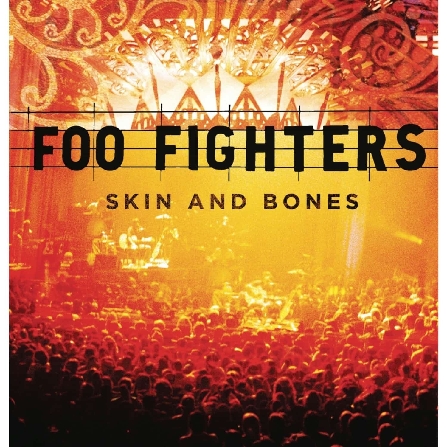 Foo Fighters - SKIN AND BONES 