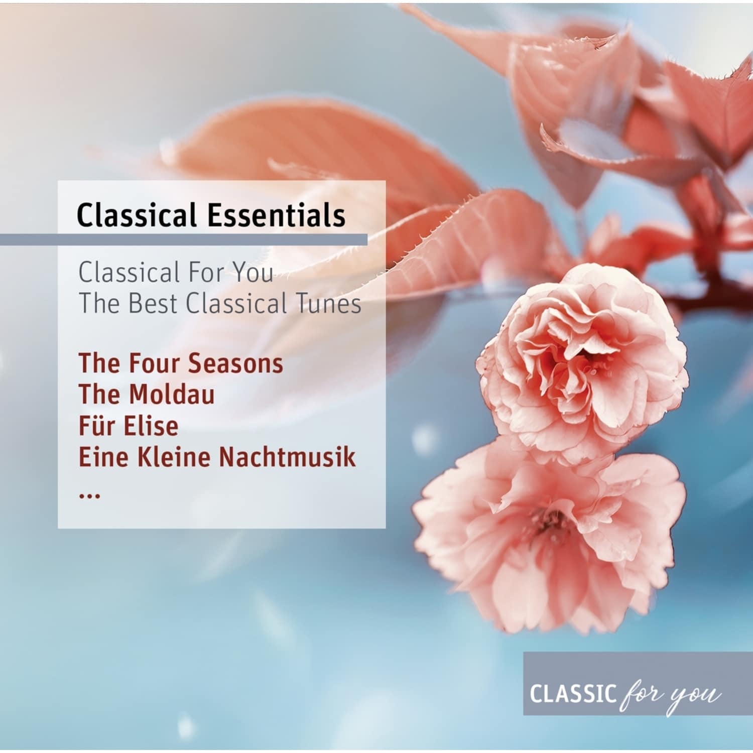 Various - GREATEST CLASSICAL TUNES 