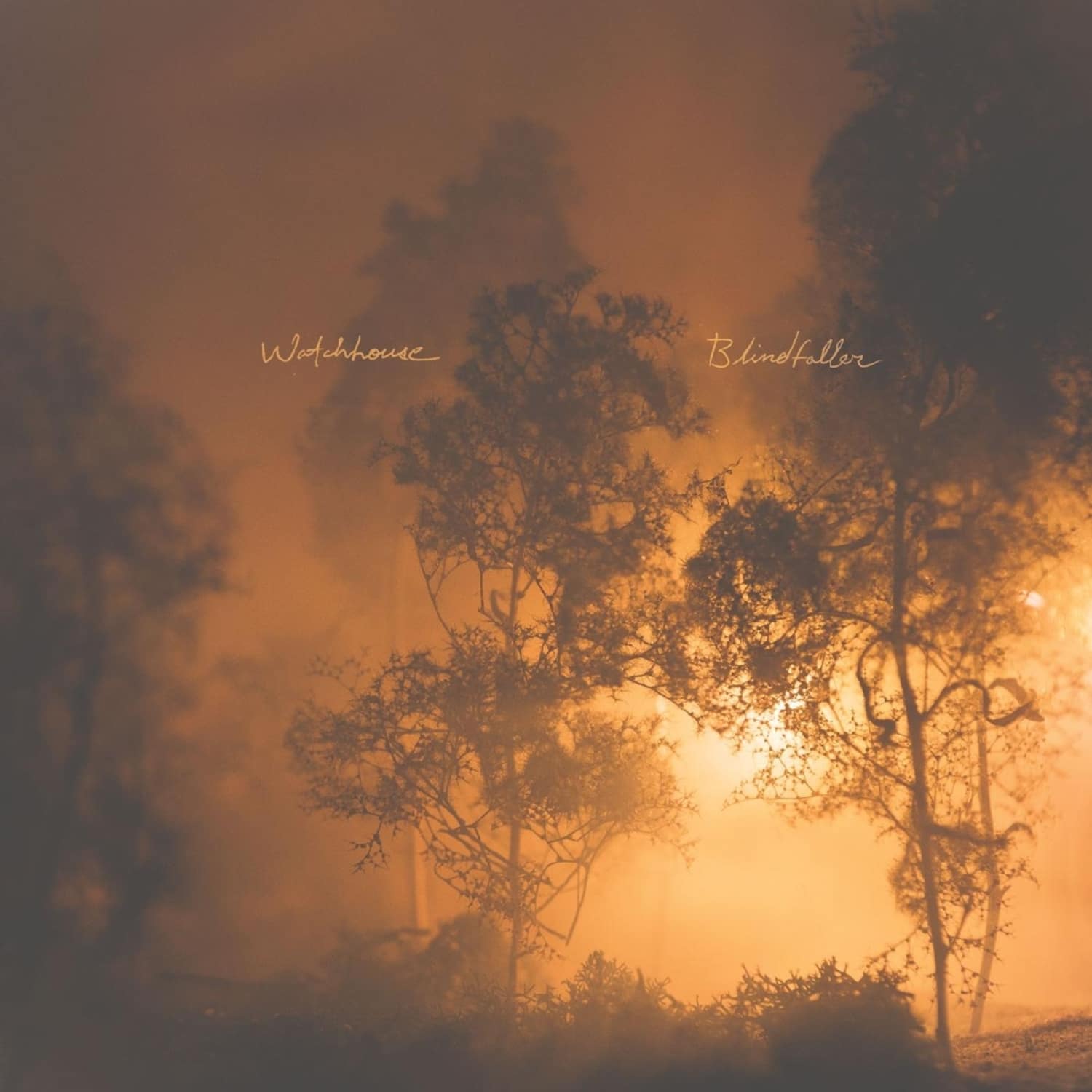Watchhouse - BLINDFALLER 