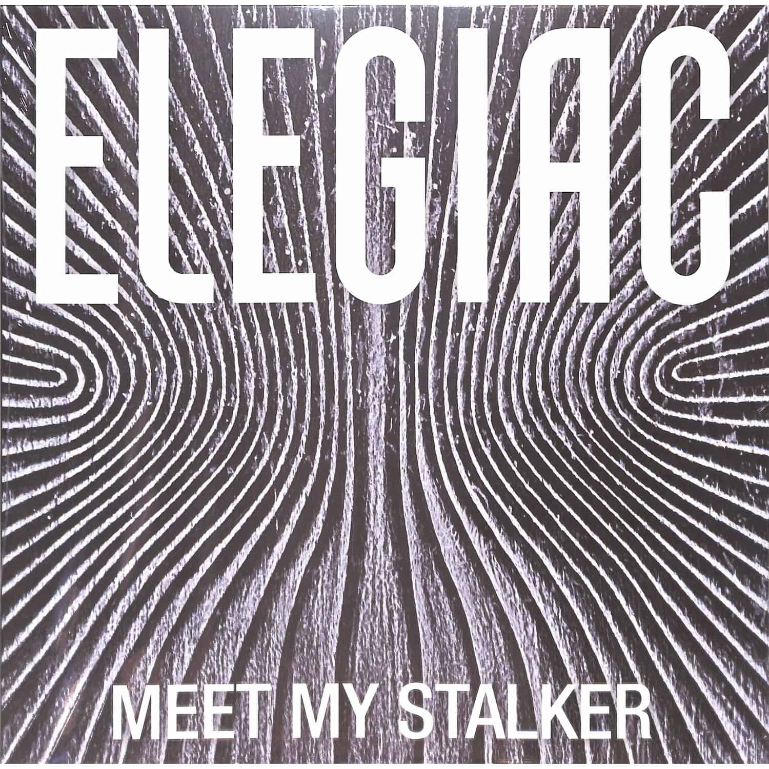 Elegiac - MEET MY STALKER