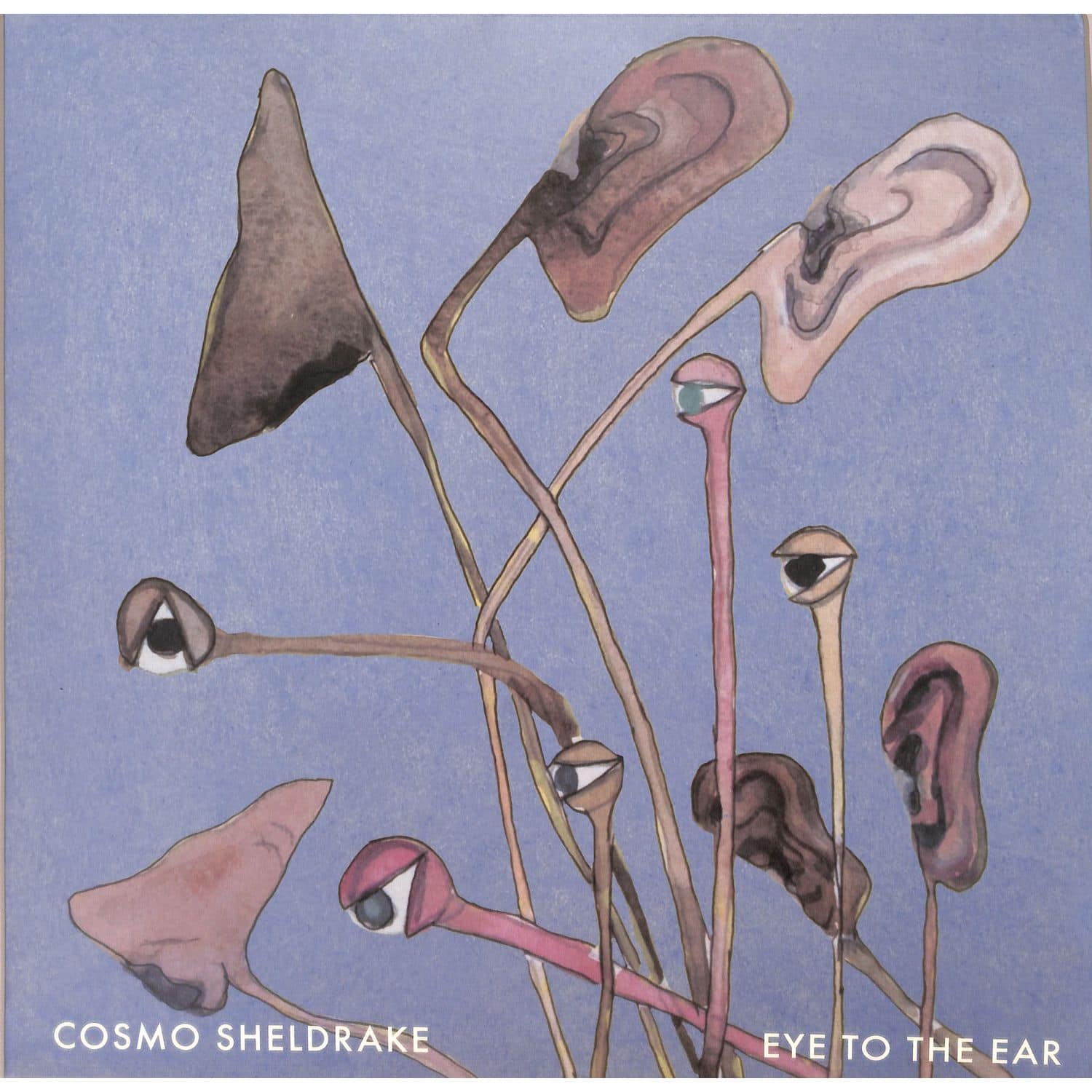 Cosmo Sheldrake - EYE TO THE EAR 