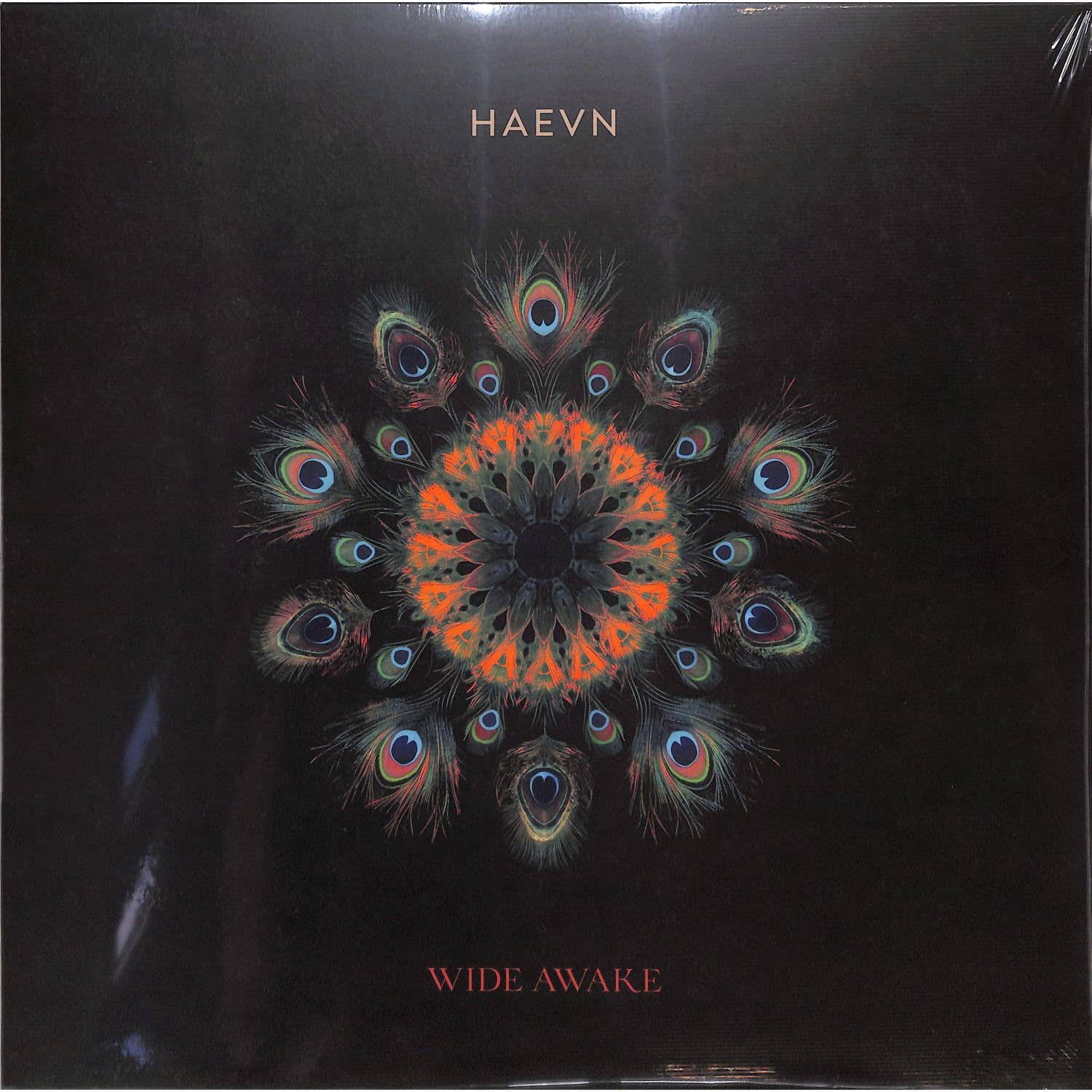 Haevn - WIDE AWAKE 