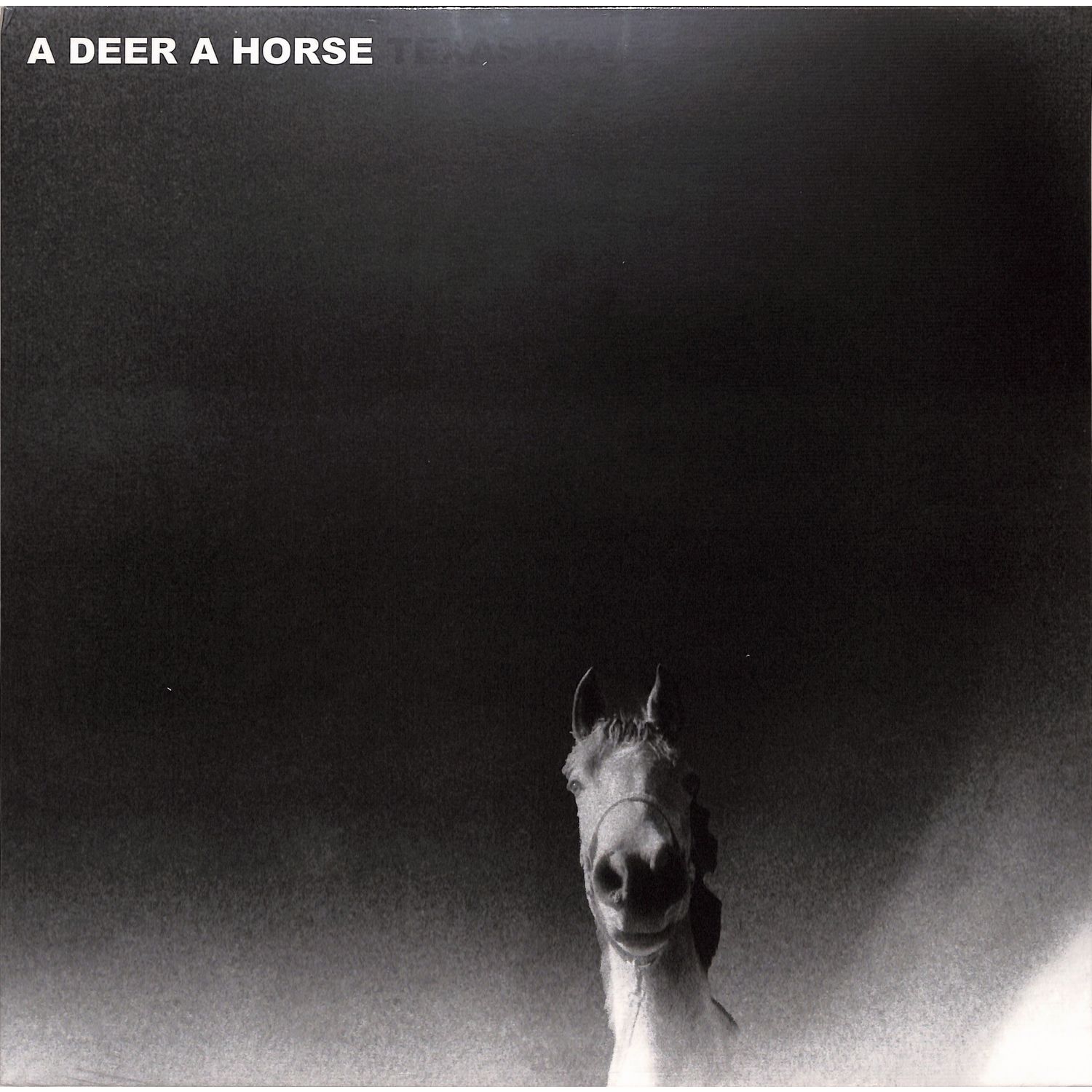 A Deer A Horse - TEXAS MATH 