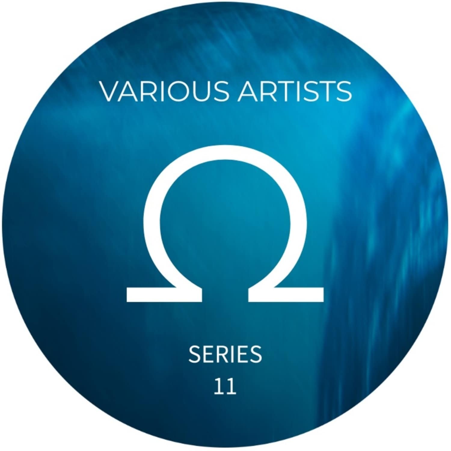 Various Artists - OHM SERIES 11