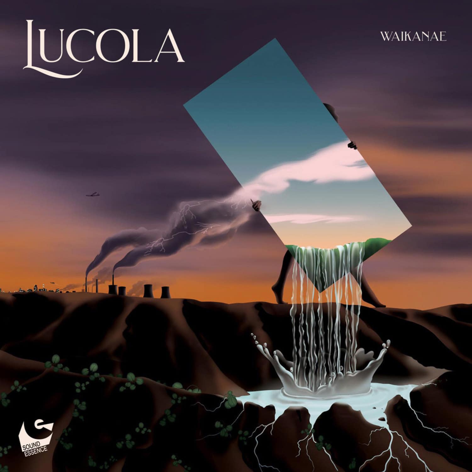 Lucola - WAIKANAE