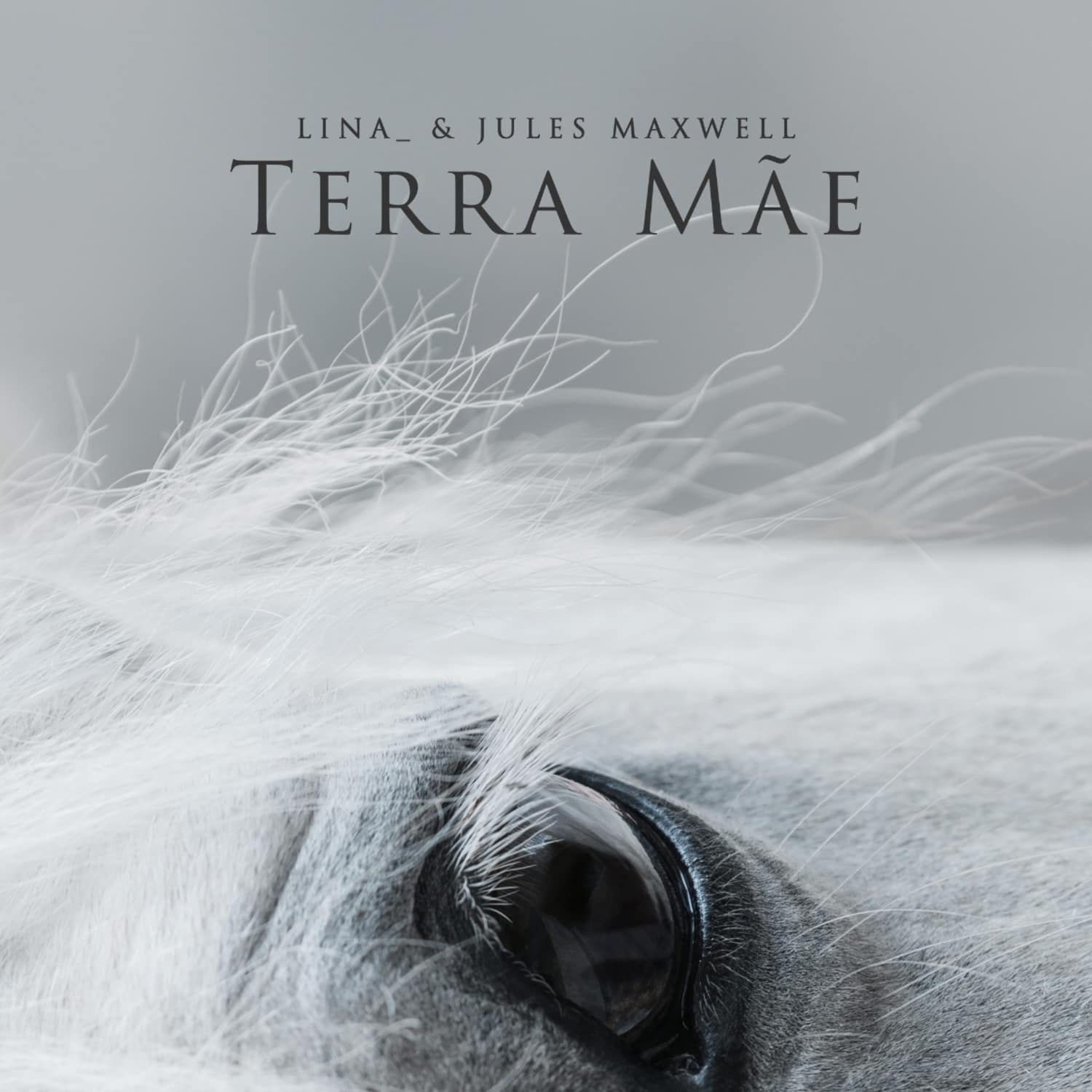 Lina - TERRA MAE 