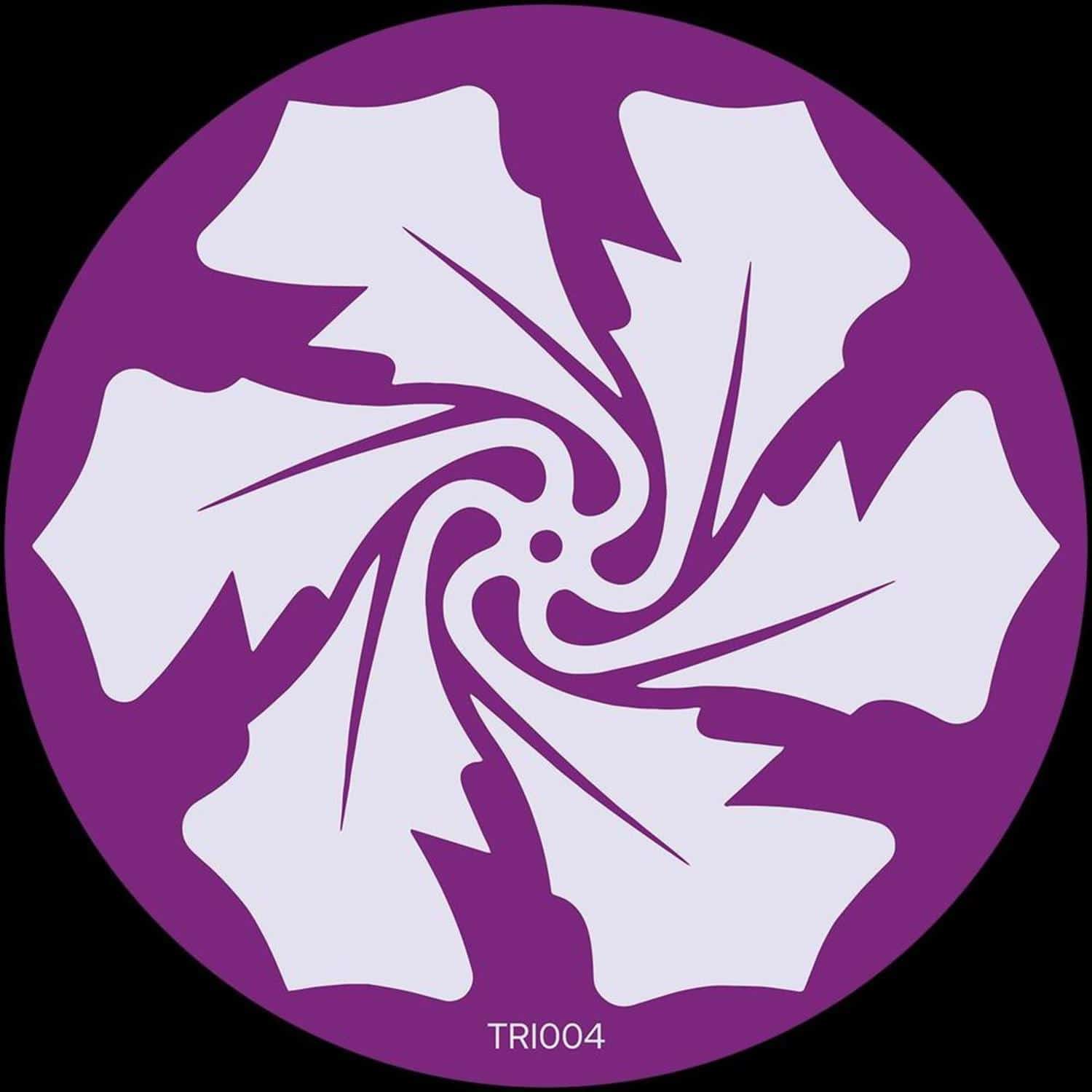 Trash Theory / D.F.N. - THE REJECTEDS