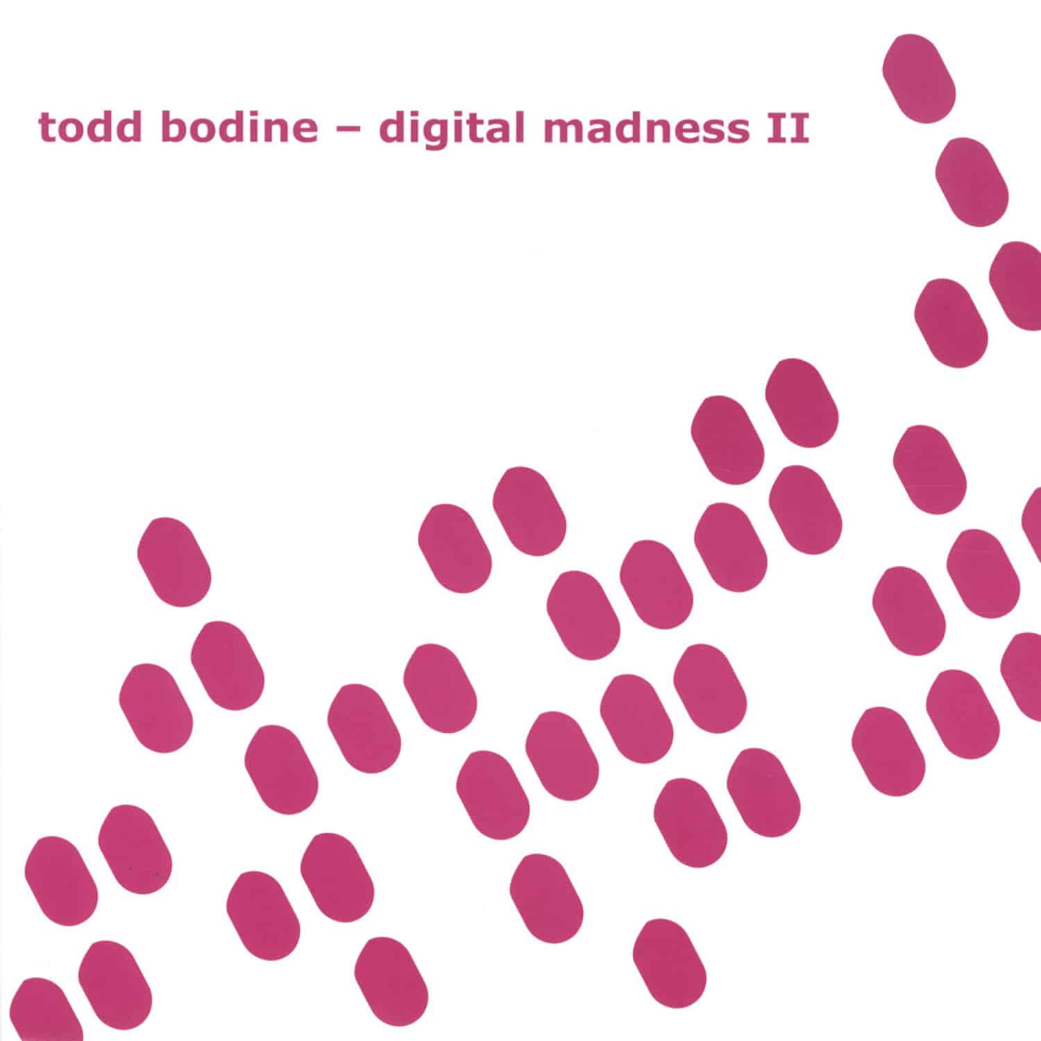 Todd Bodine - DIGITAL MADNESS II