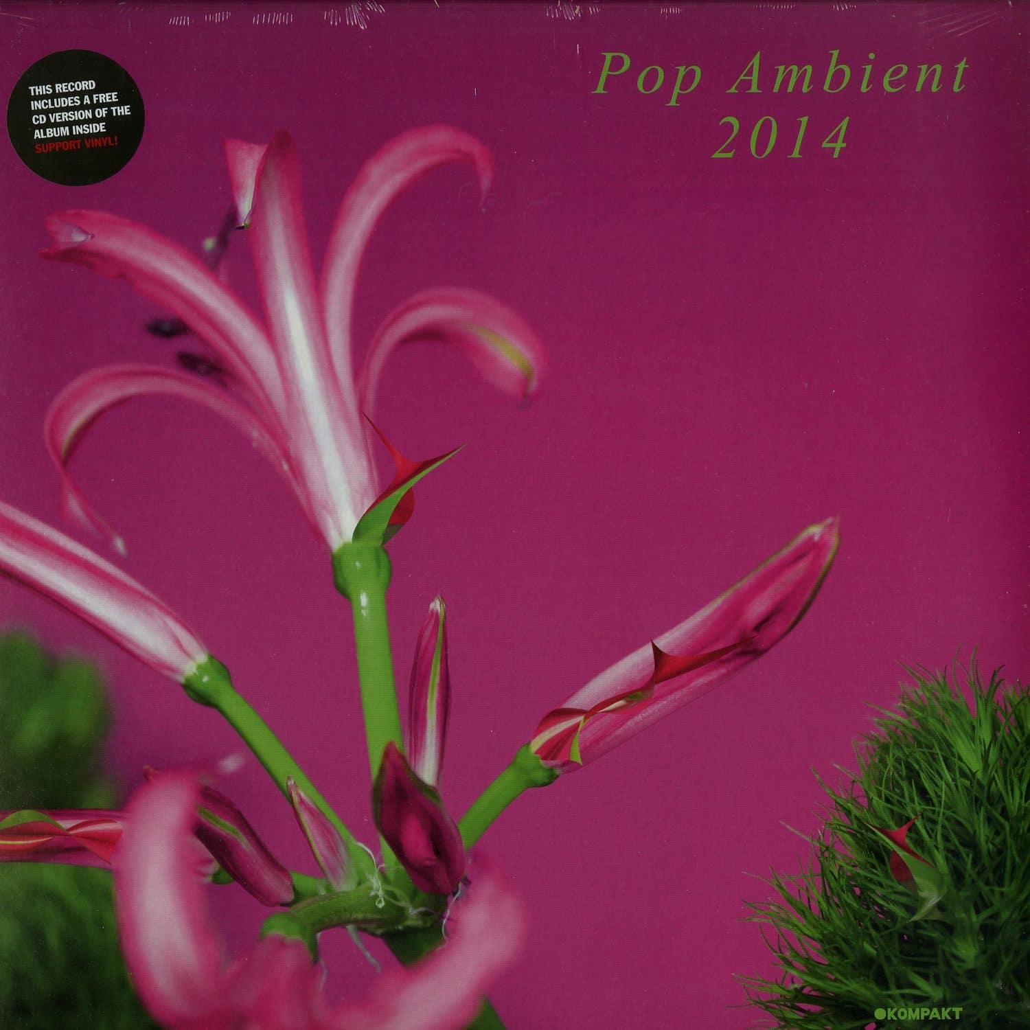 Various Artists - POP AMBIENT 2014 