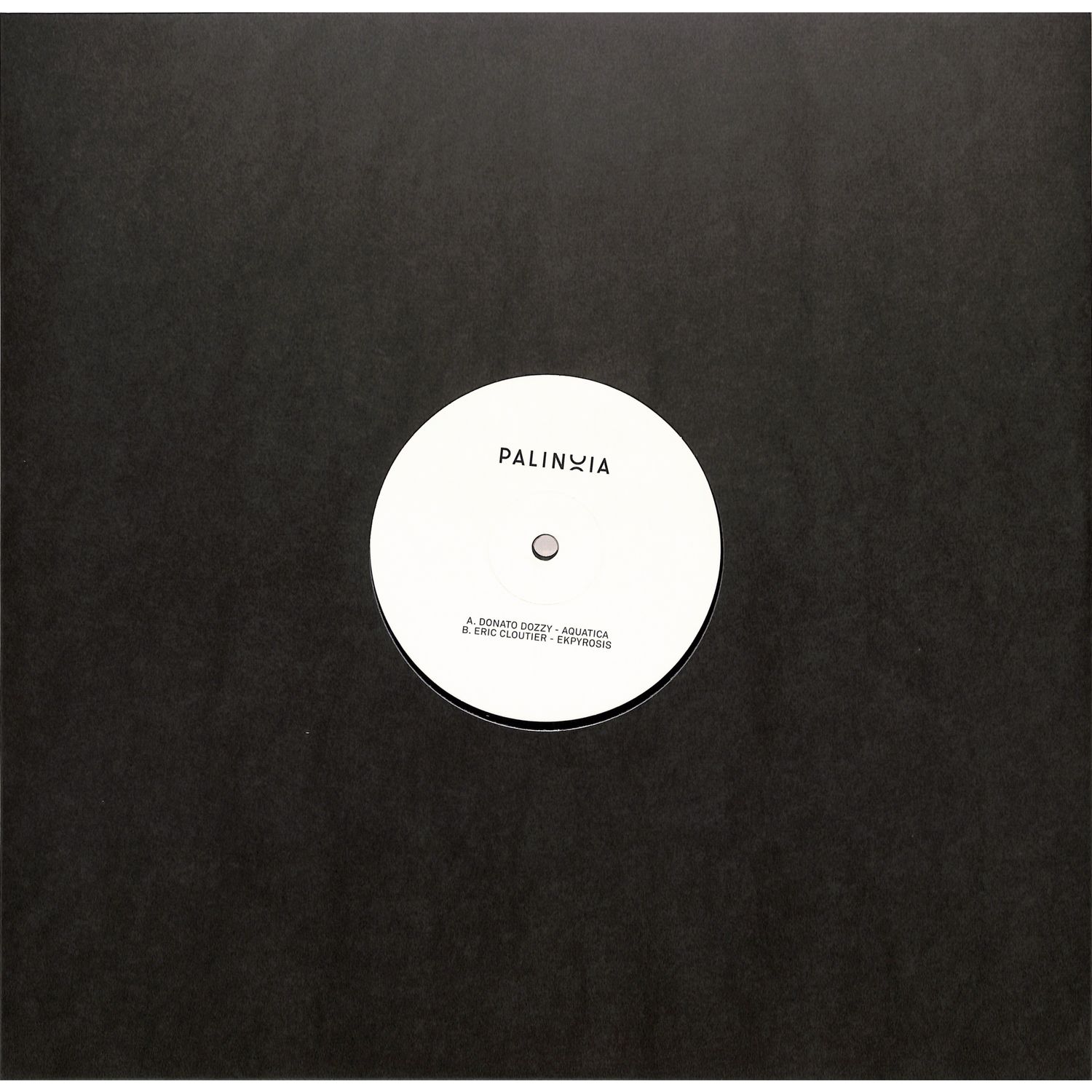 Donato Dozzy / Eric Cloutier - PALINOIA LTD 001