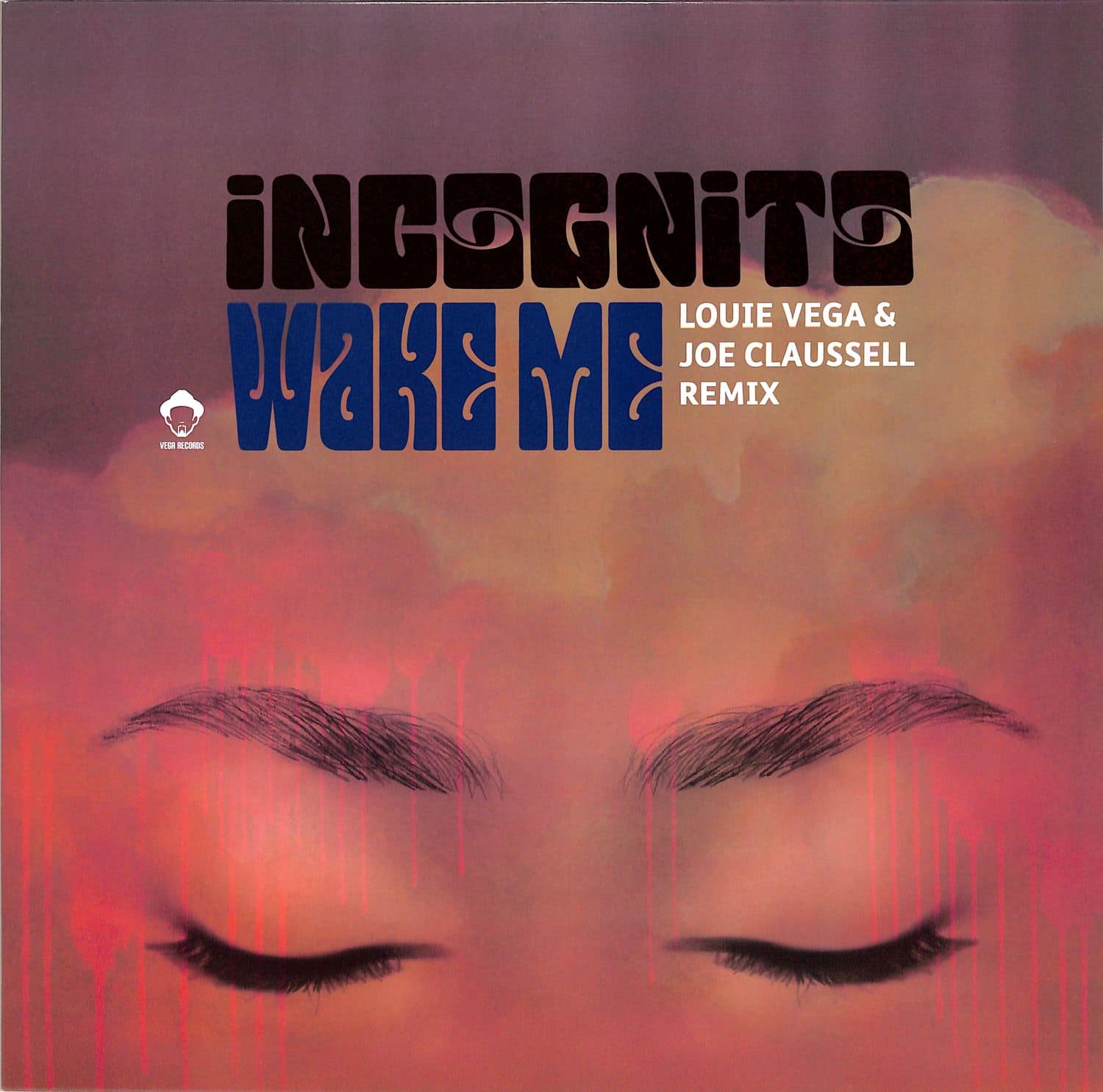 Incognito - WAKE ME 