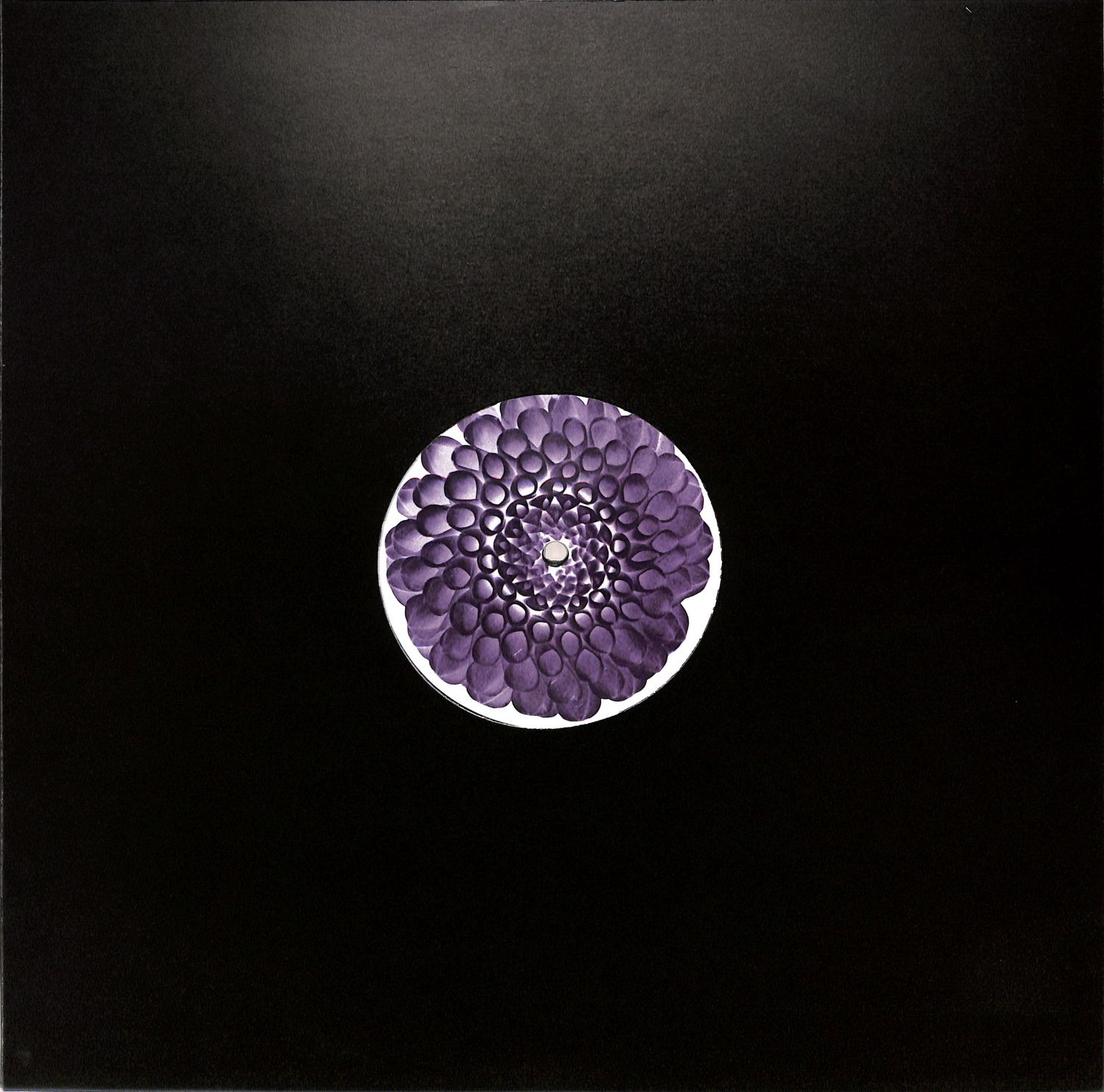 Petals - INPUT EP