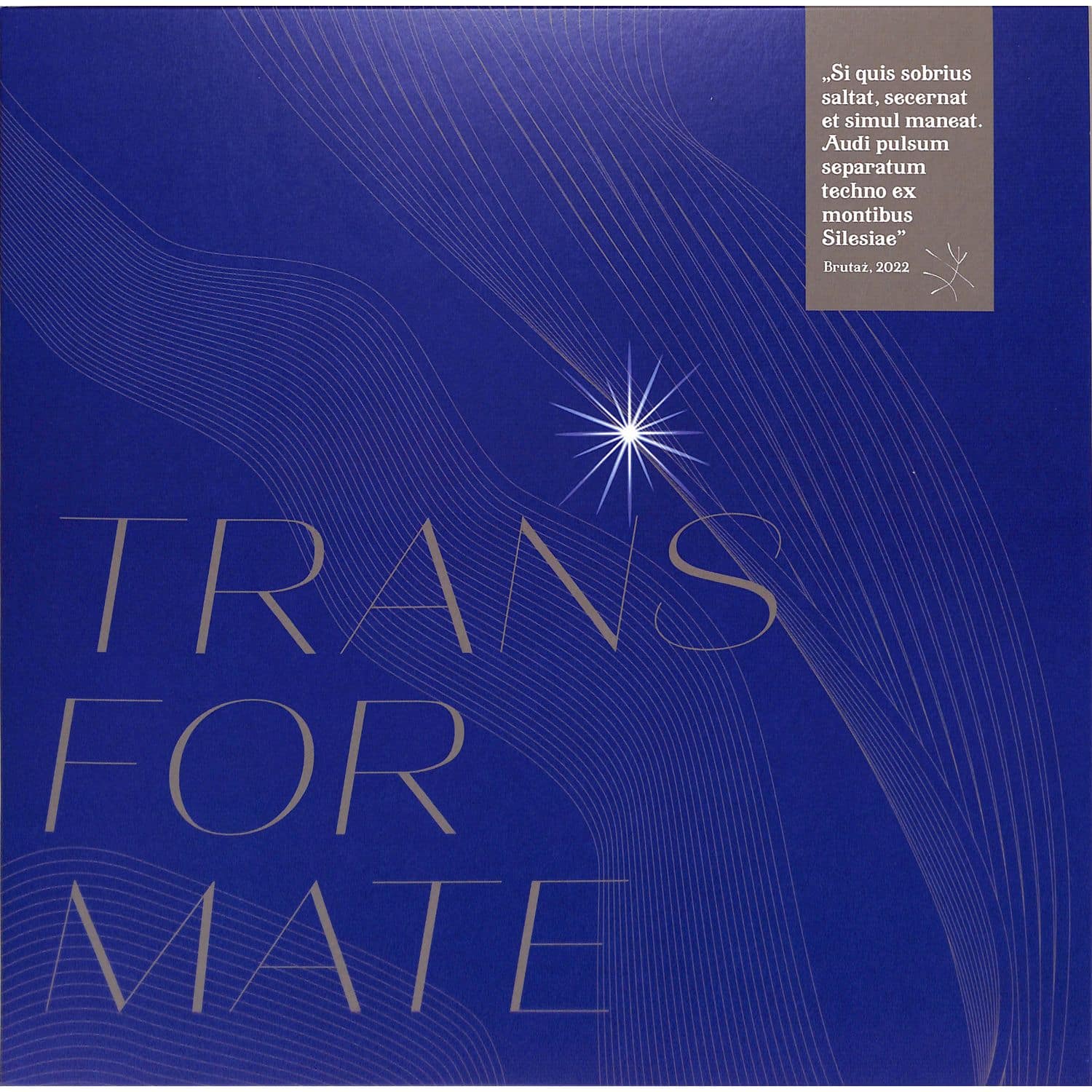 Mazewski - TRANS FOR MATE