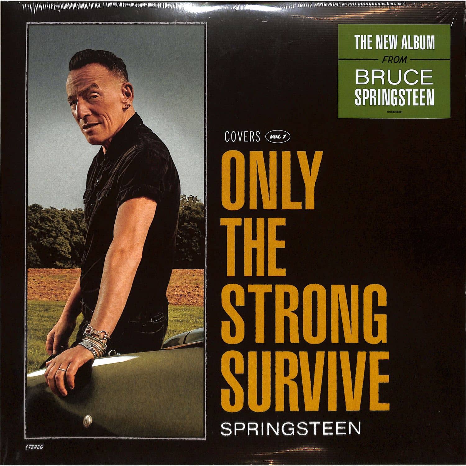 Bruce Springsteen - ONLY THE STRONG SURVIVE 