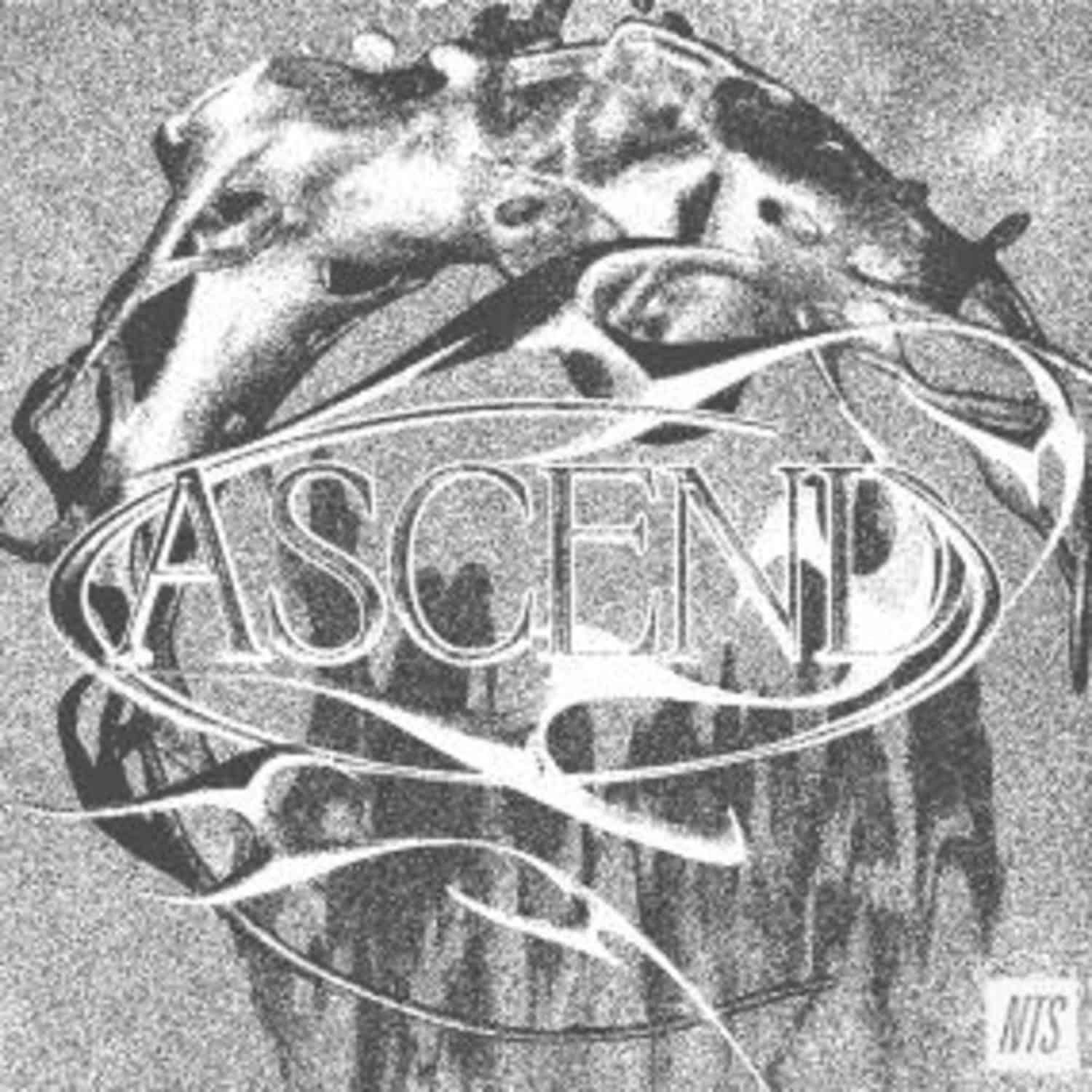 Various Artists - ASCEND 