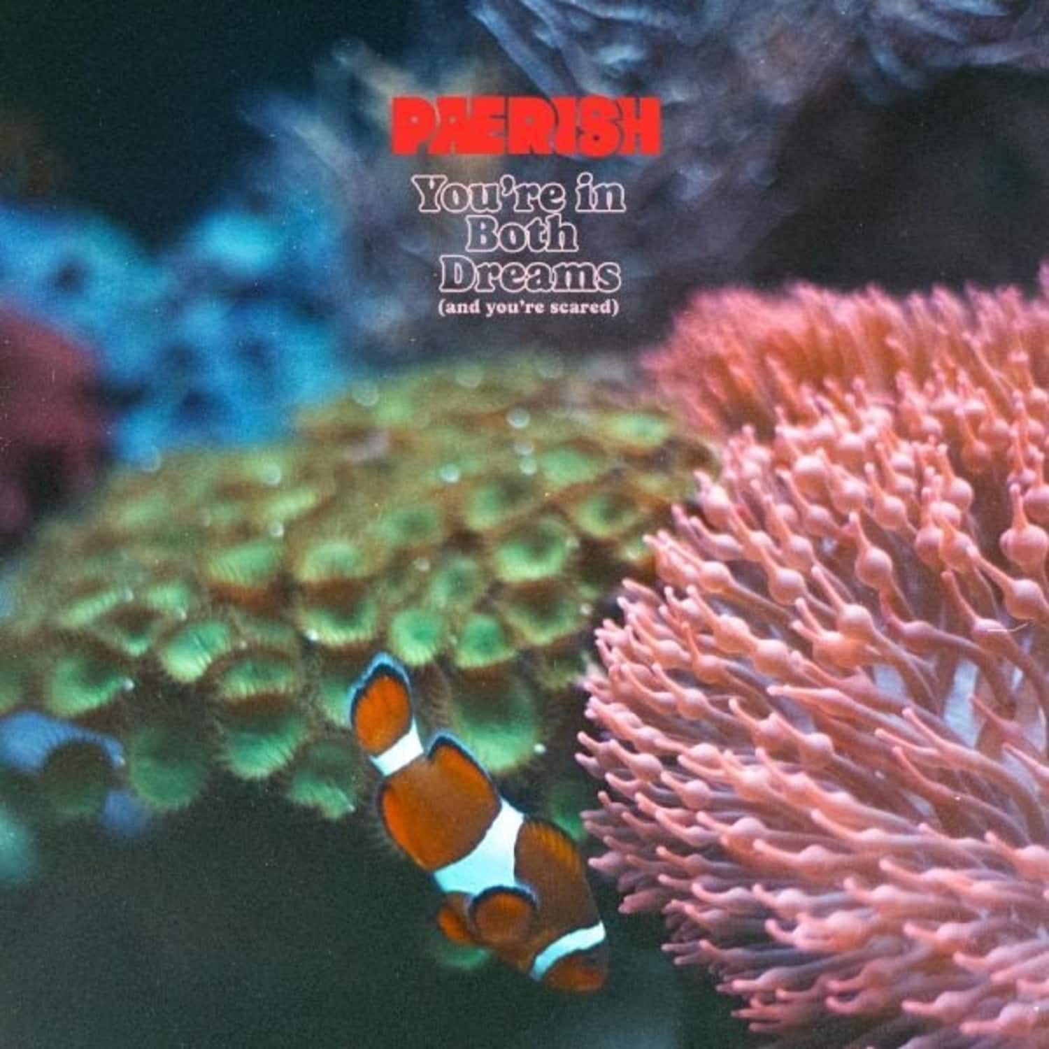 Paerish - YOU RE IN BOTH DREAMS 