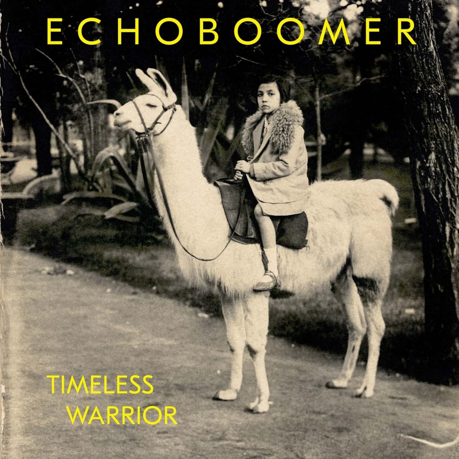 Echo Boomer - TIMELESS WARRIOR 