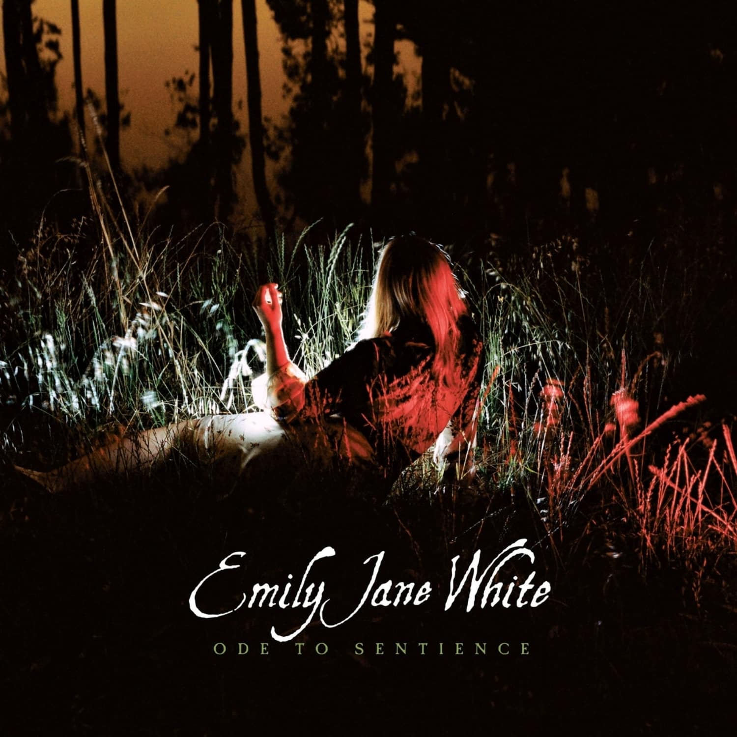 Emily Jane White - ODE TO SENTIENCE 