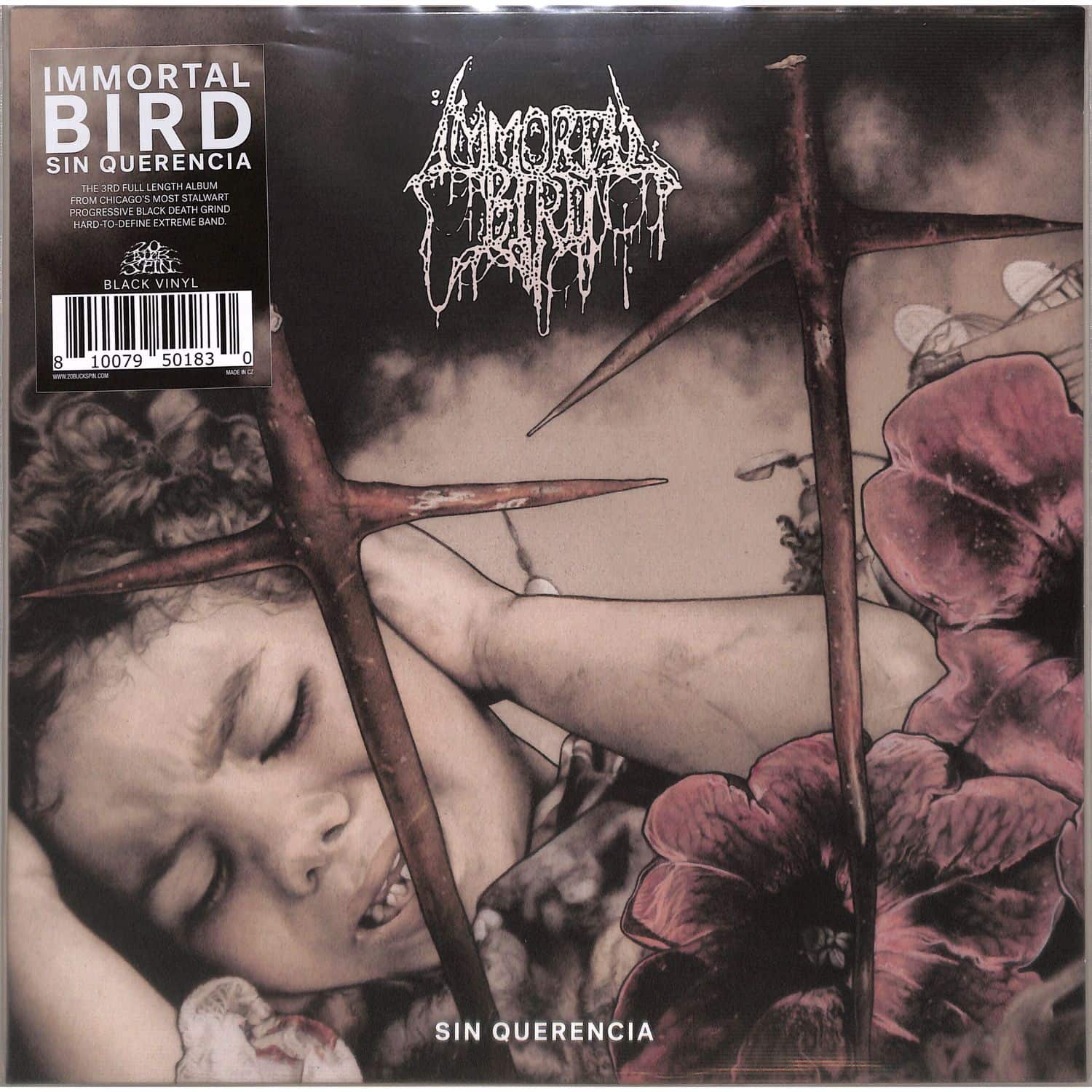 Immortal Bird - SIN QUERENCIA 