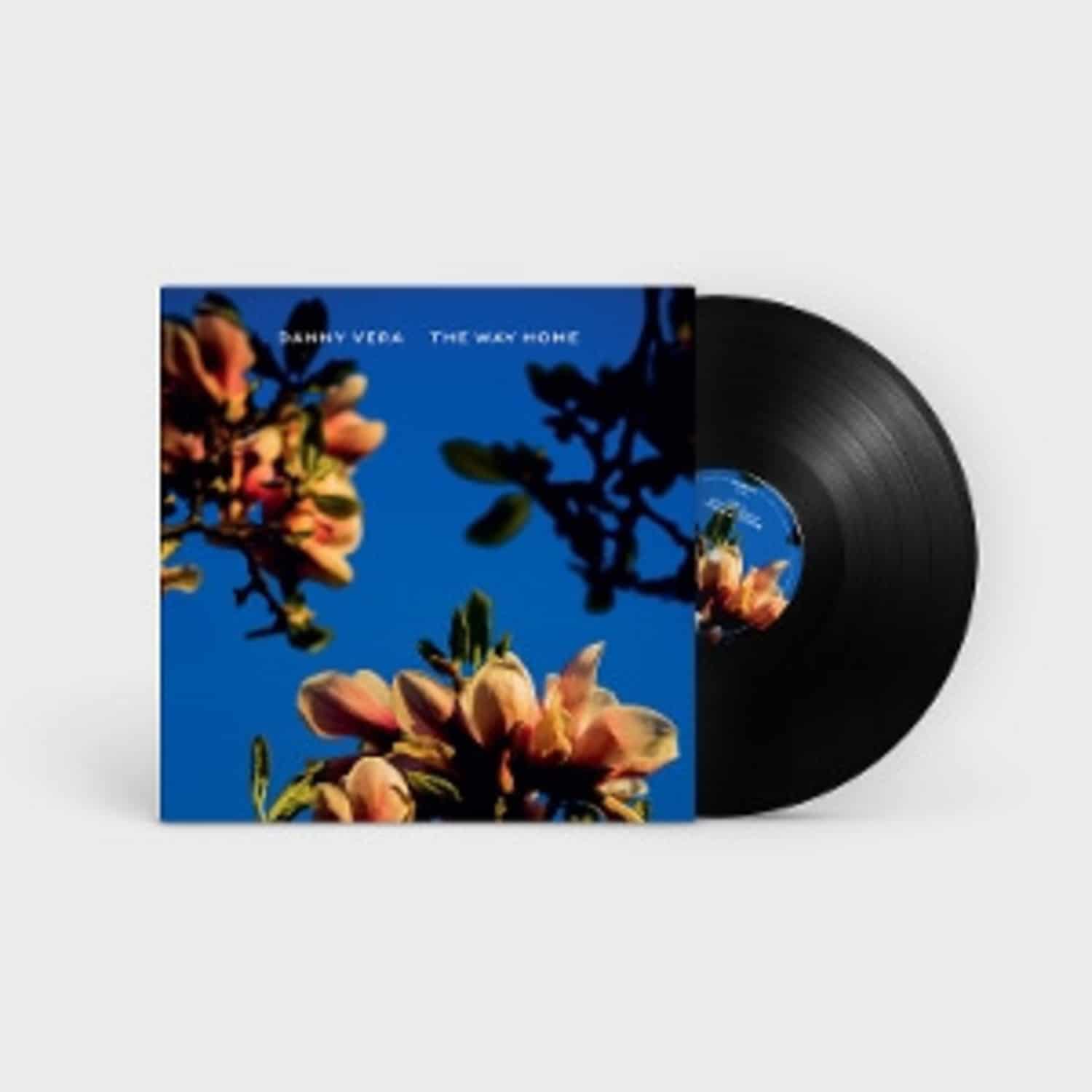 Danny Vera - THE WAY HOME