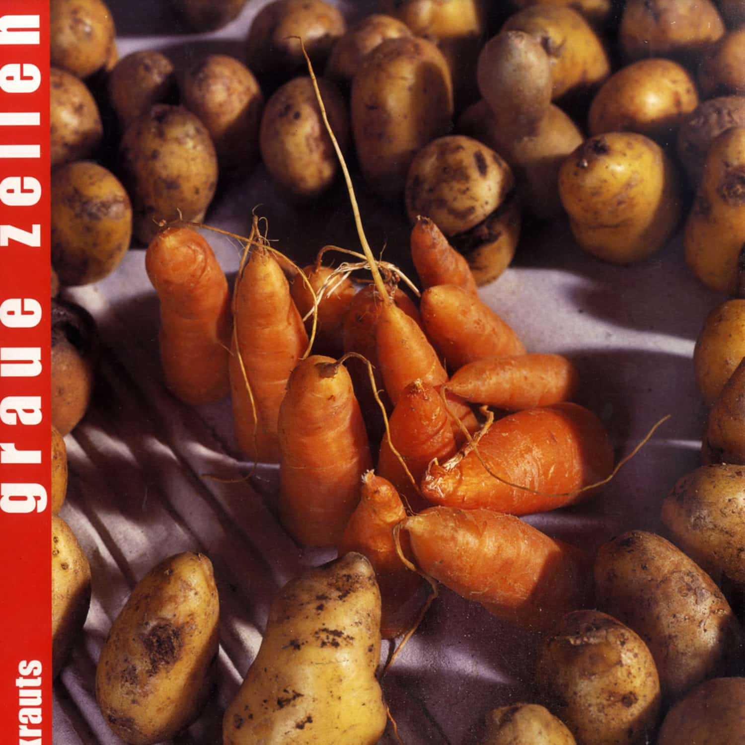 Graue Zellen - Krauts 