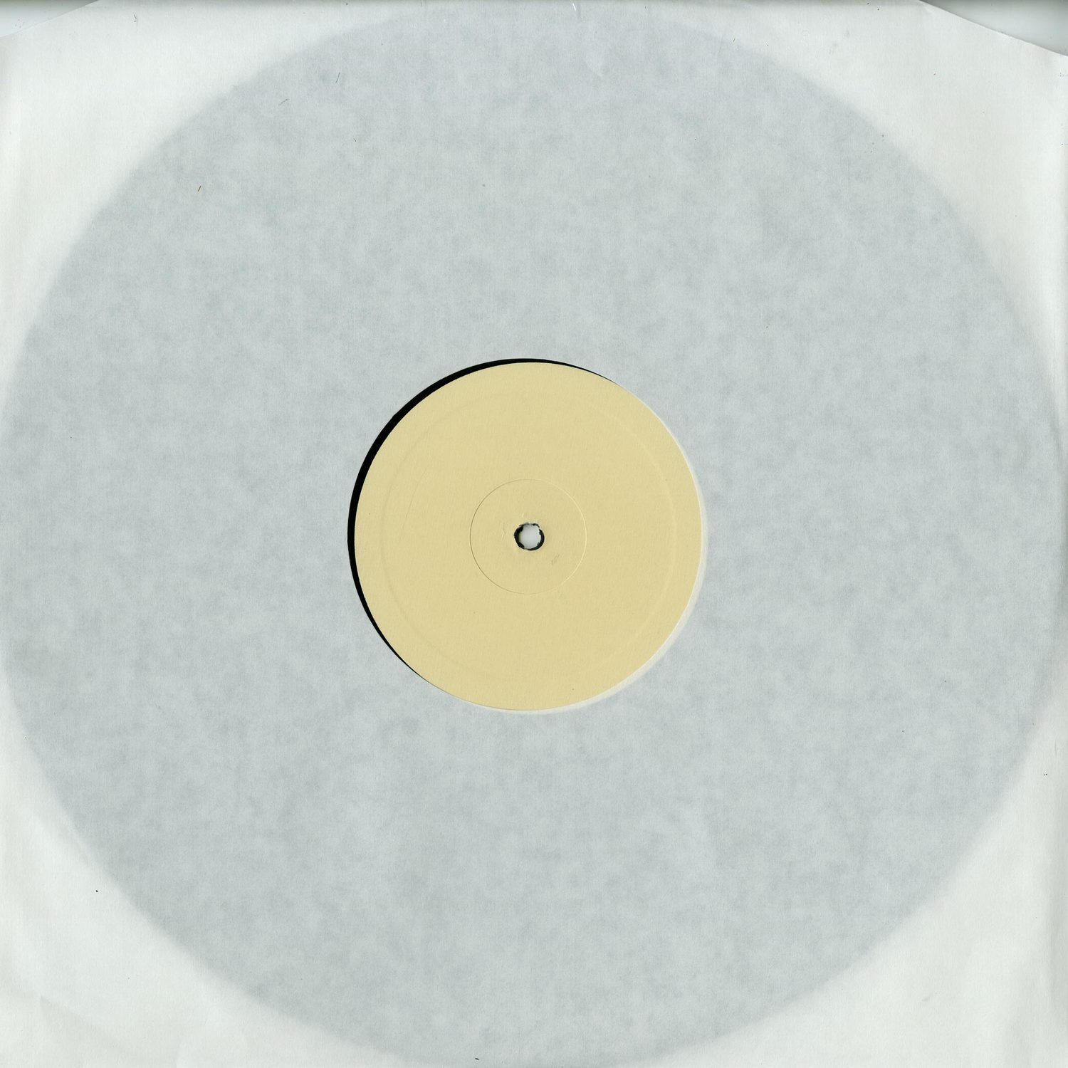 Synus0006 - B4CK6ROUNDNO1SE Y01