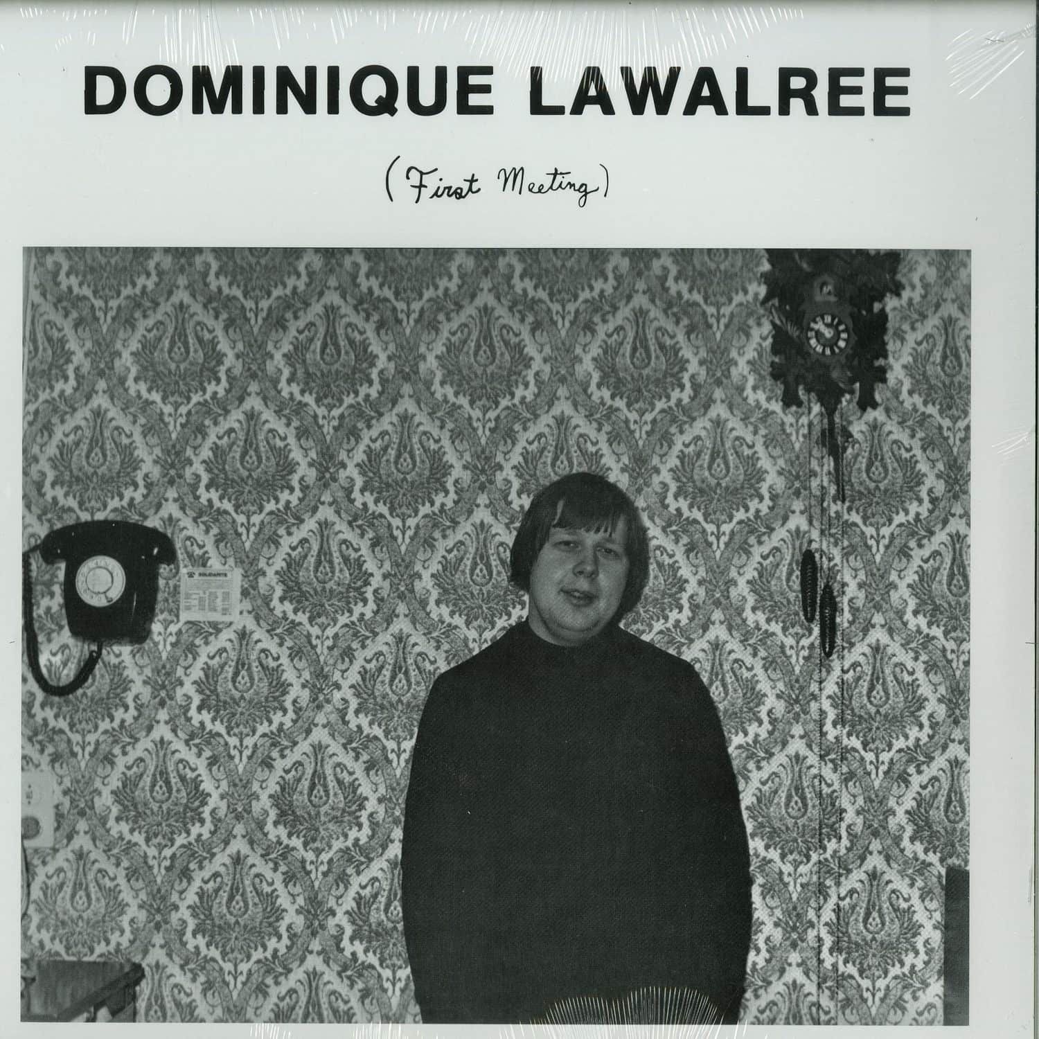Dominique Lawalree - FIRST MEETING