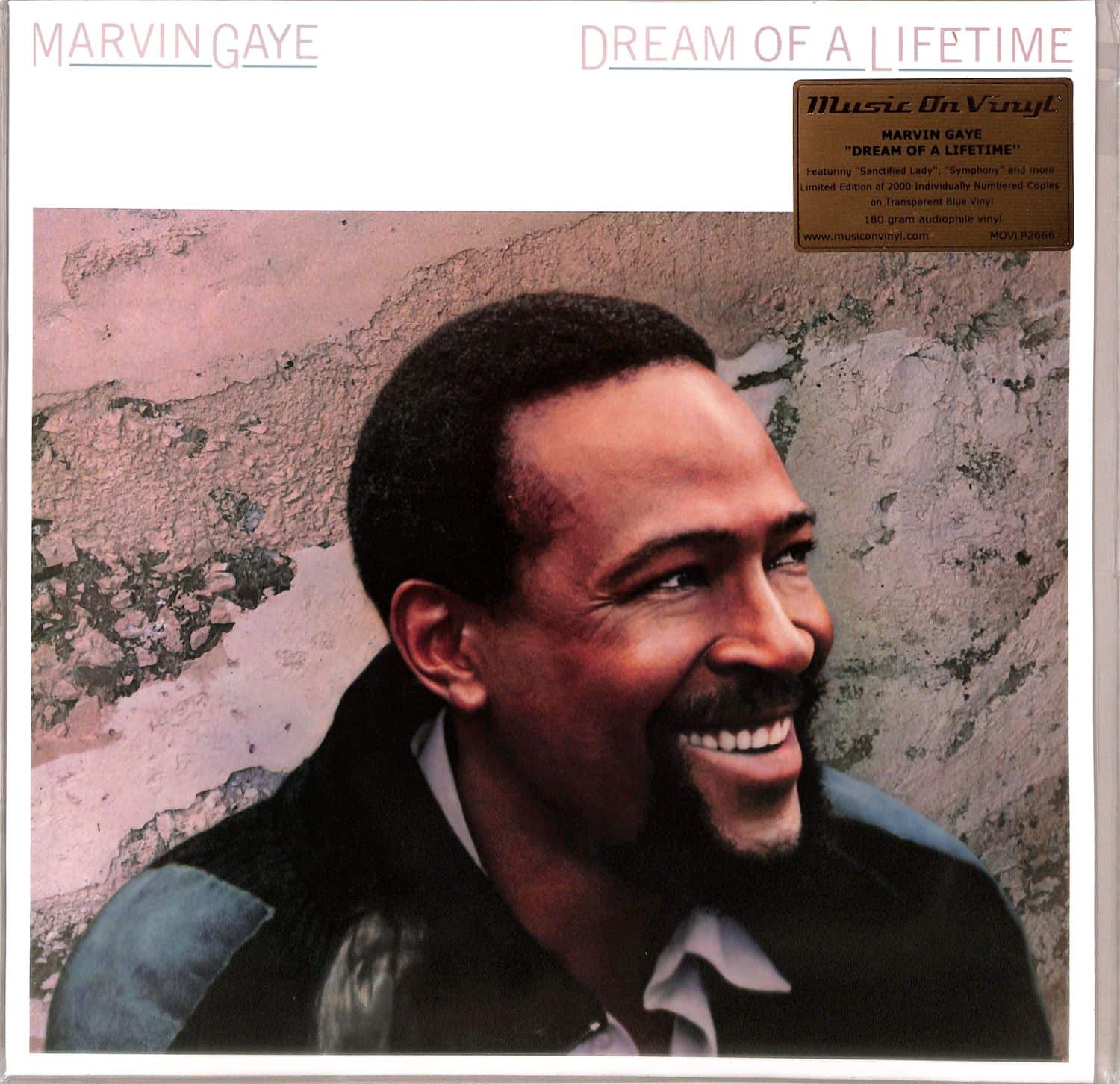 Marvin Gaye - DREAM OF A LIFETIME 