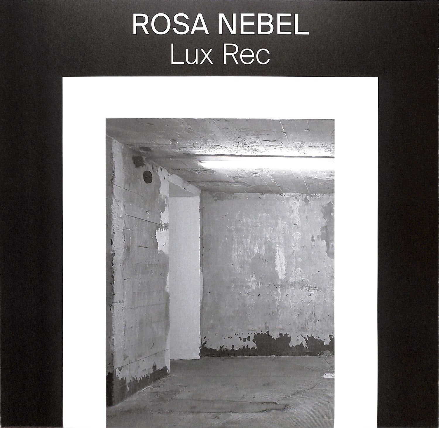Kinder Aus Asbest / Rosa Nebel - SPLIT EP
