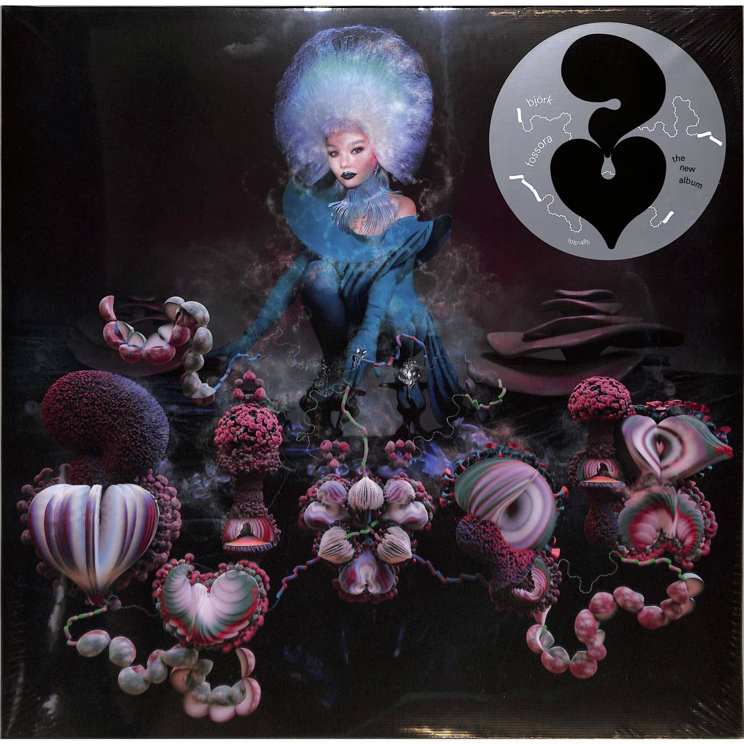 Bjork - FOSSORA 