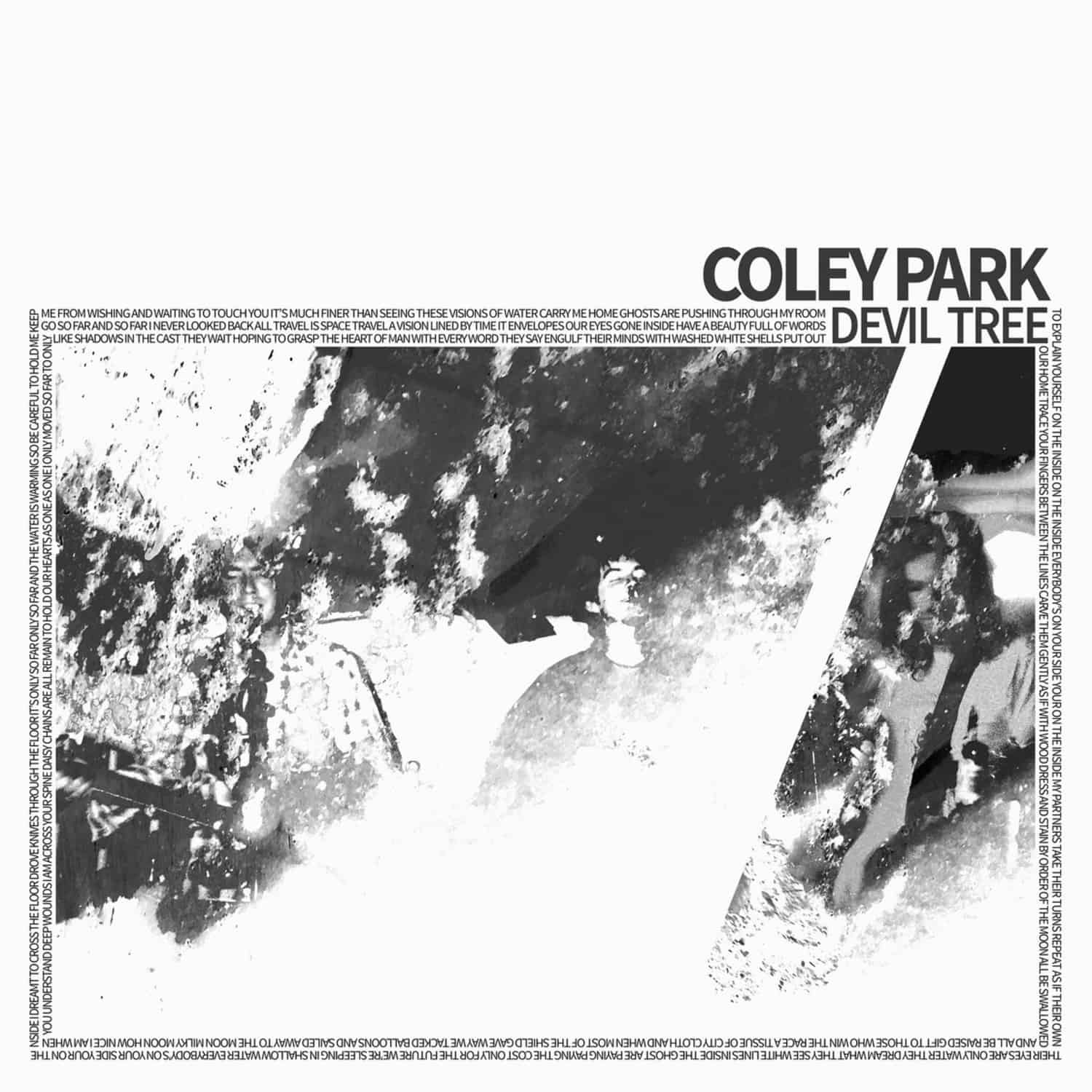 Coley Park - DEVIL TREE 