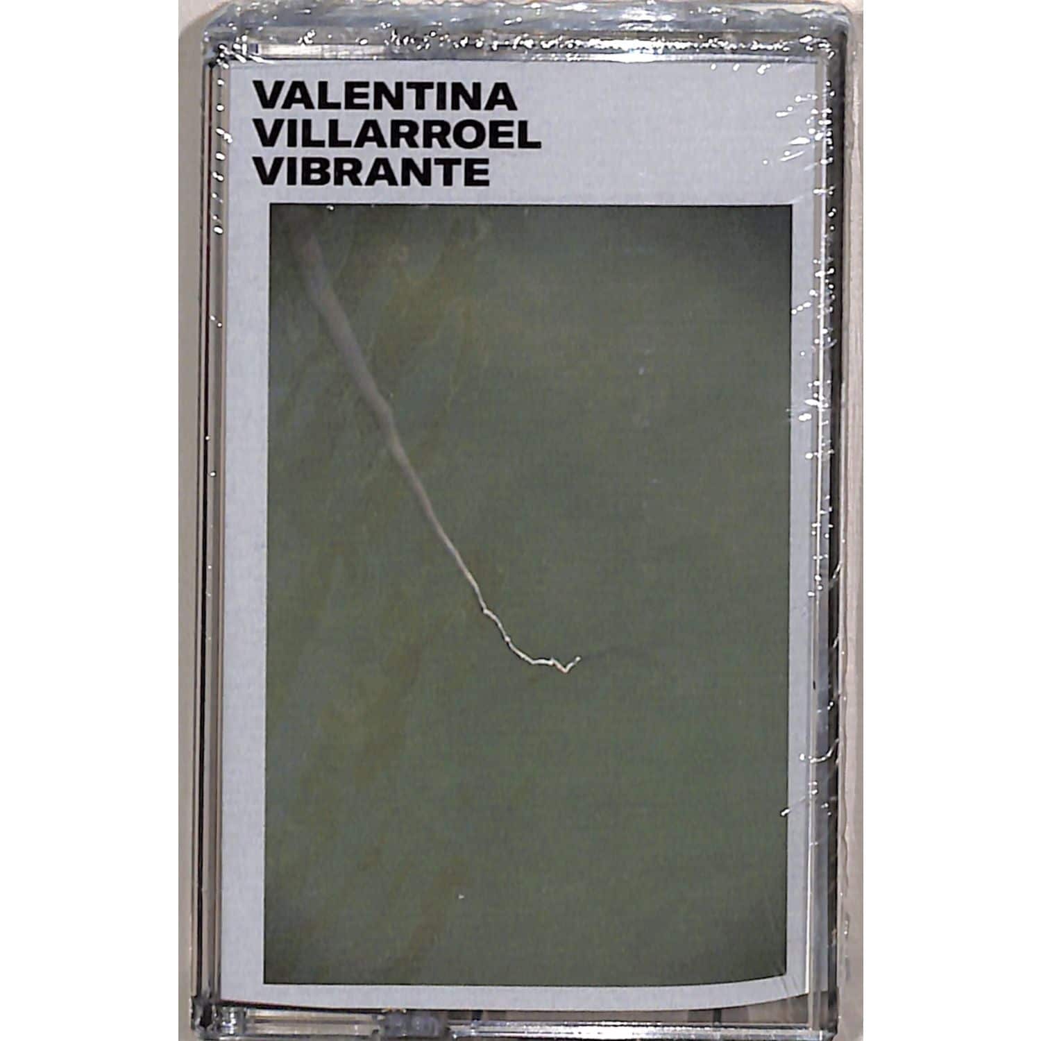 Valentina Villarroel - VIBRANTE 