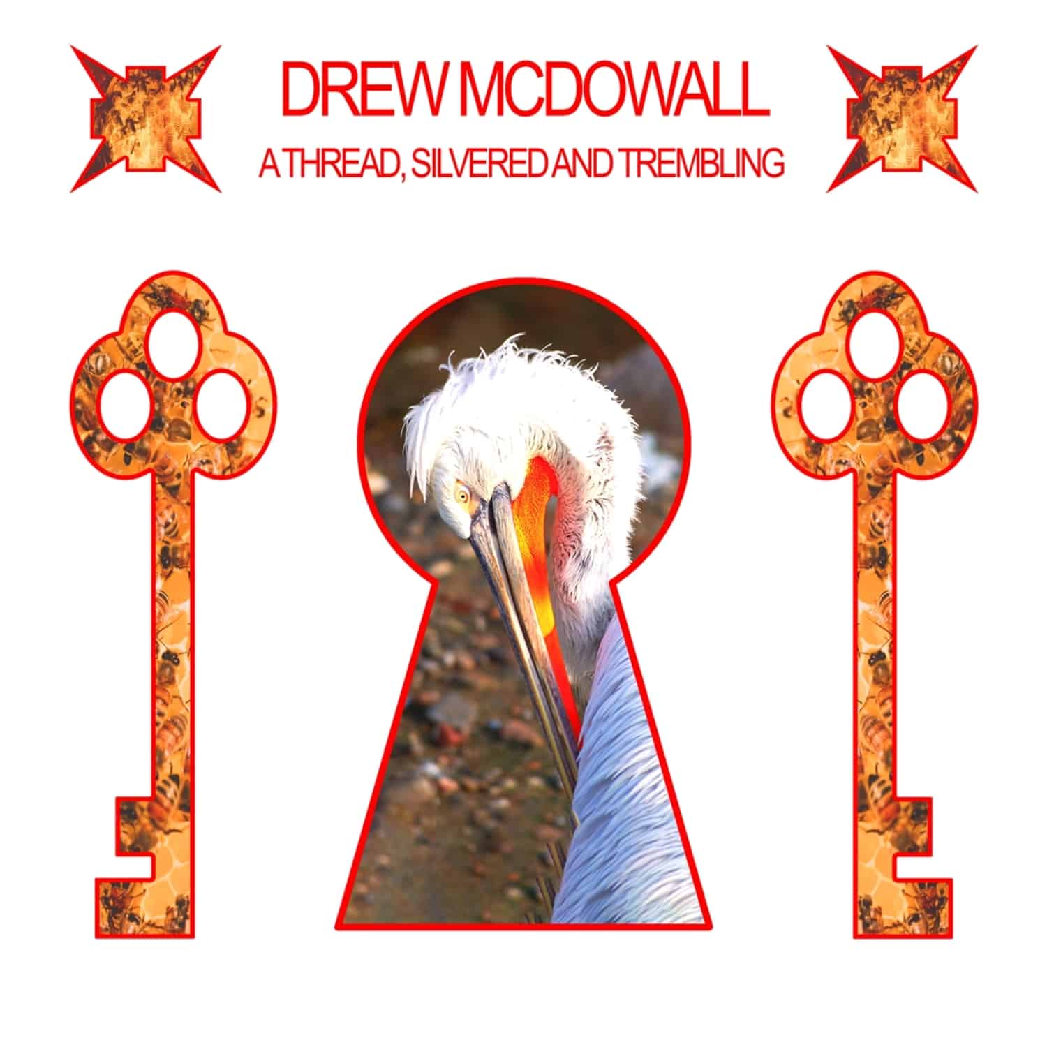 Drew McDowall - A THREAD SILVERED AND TREMBLING 