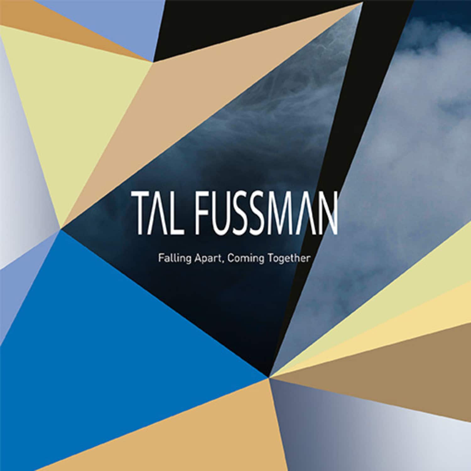 Tal Fussman - FALLING APART, COMING TOGETHER 